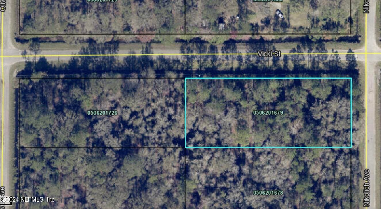 10305 NIKOLICH Avenue, Hastings, FL 32145, Hastings — exterior
