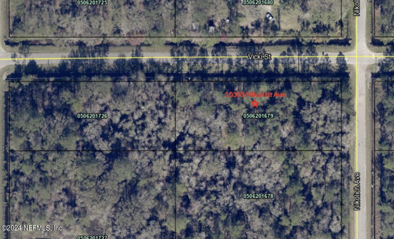 10305 NIKOLICH Avenue, Hastings, FL 32145, Hastings — photo 2