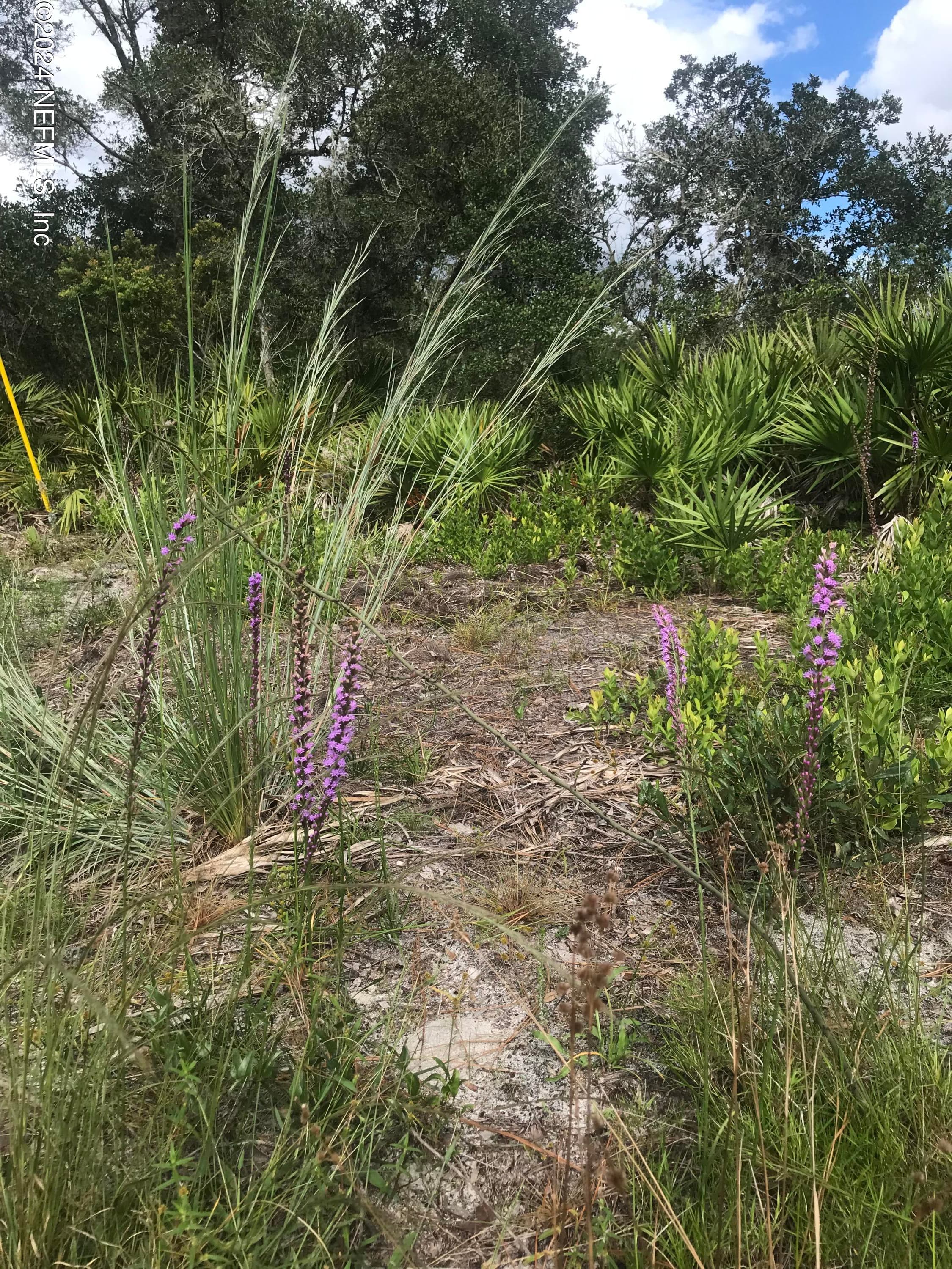 0 SUMMIT Road, Satsuma, FL 32189, Satsuma — exterior