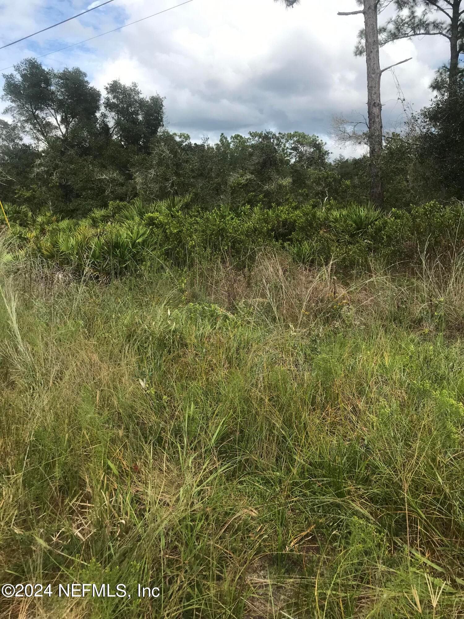 0 SUMMIT Road, Satsuma, FL 32189, Satsuma — photo 3