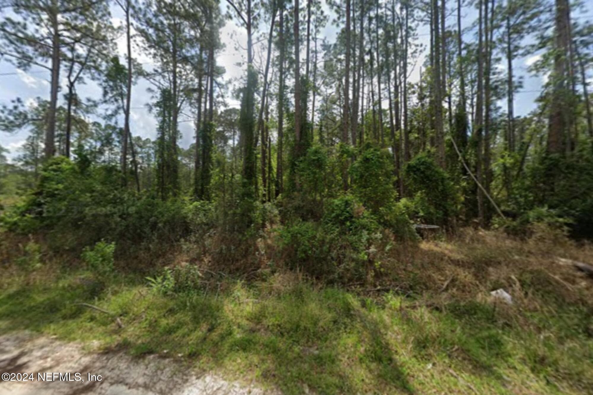 105 PINE CONE Drive, Georgetown, FL 32139, Georgetown — exterior