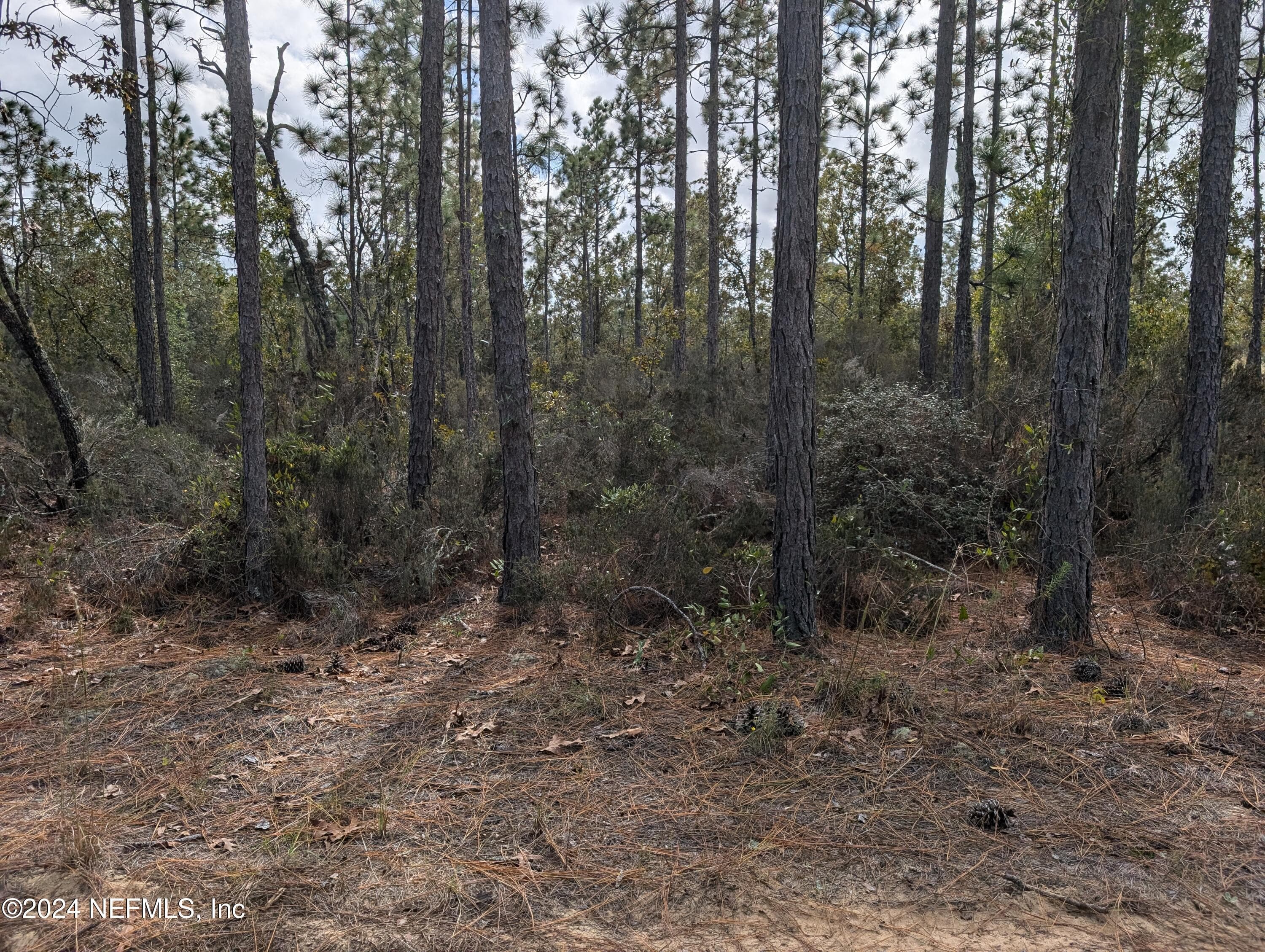 40 FRISCO Avenue, Interlachen, FL 32148, Interlachen — photo 2