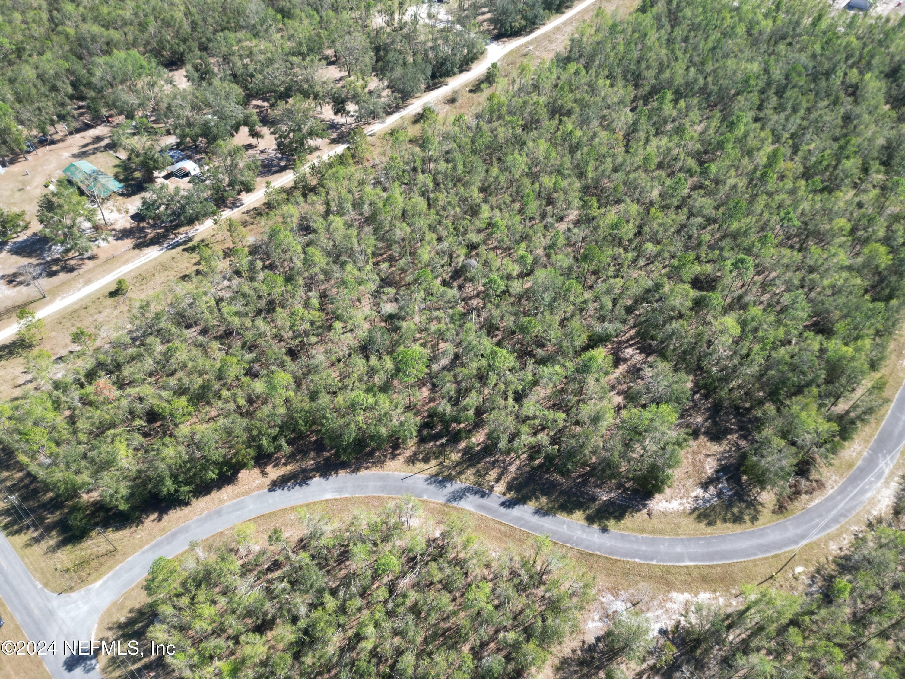 TBD 4.57 ACRES 209TH Court, Live Oak, FL 32060, Live Oak — photo 3