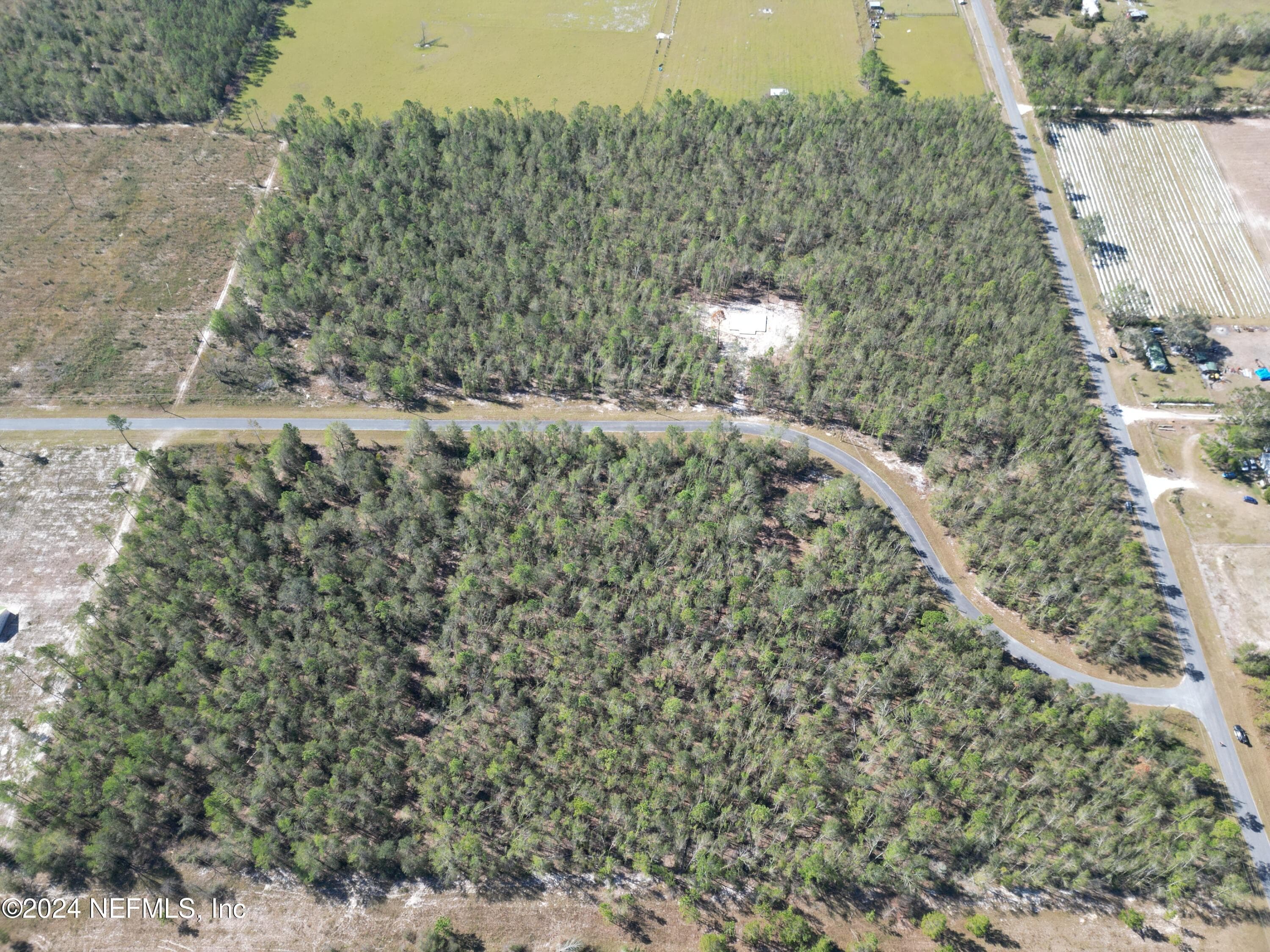 TBD 4.72 ACRES 209TH Court, Live Oak, FL 32060, Live Oak — photo 3