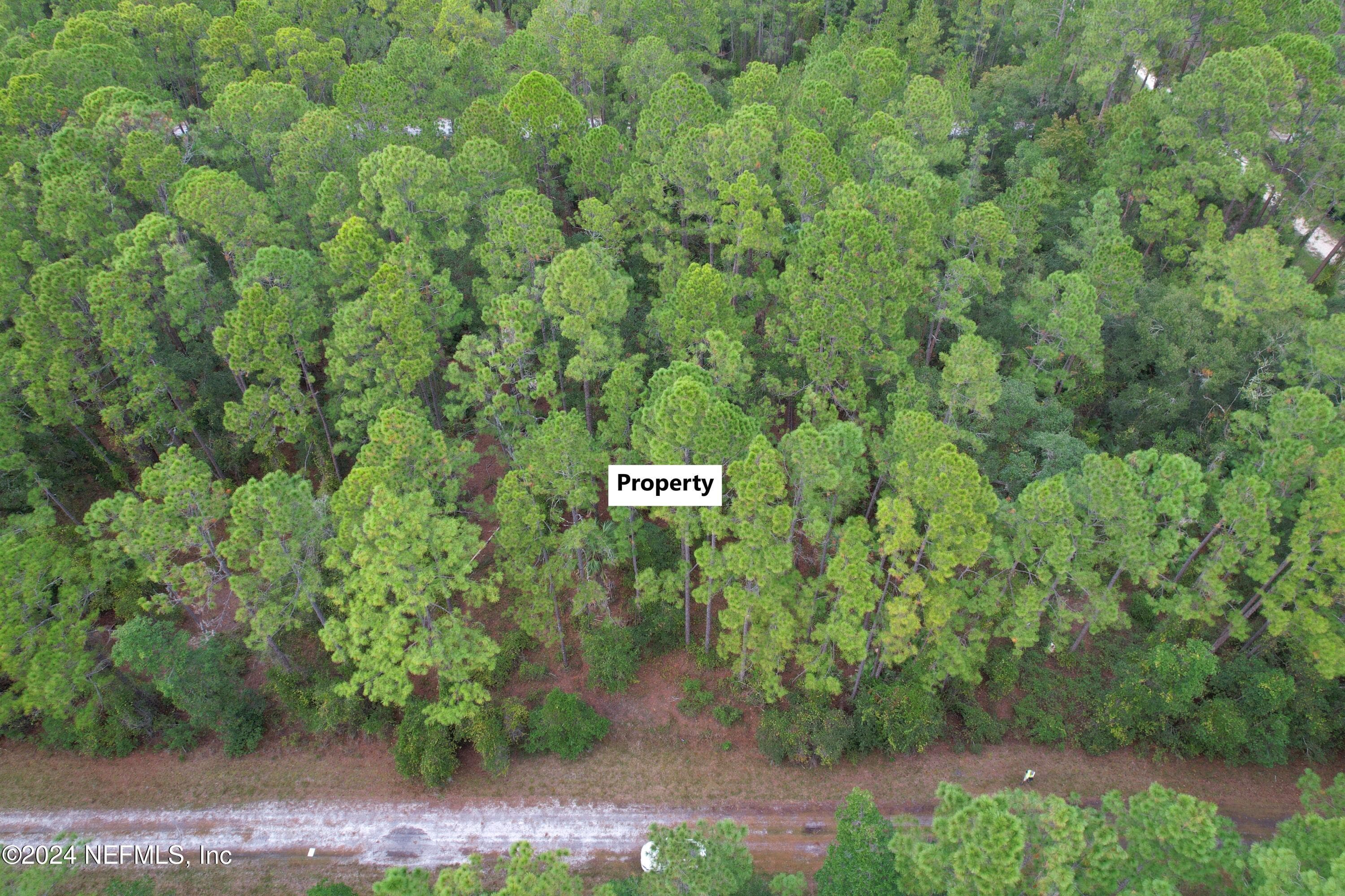 136 HELEN Avenue, Georgetown, FL 32139, Georgetown — photo 2