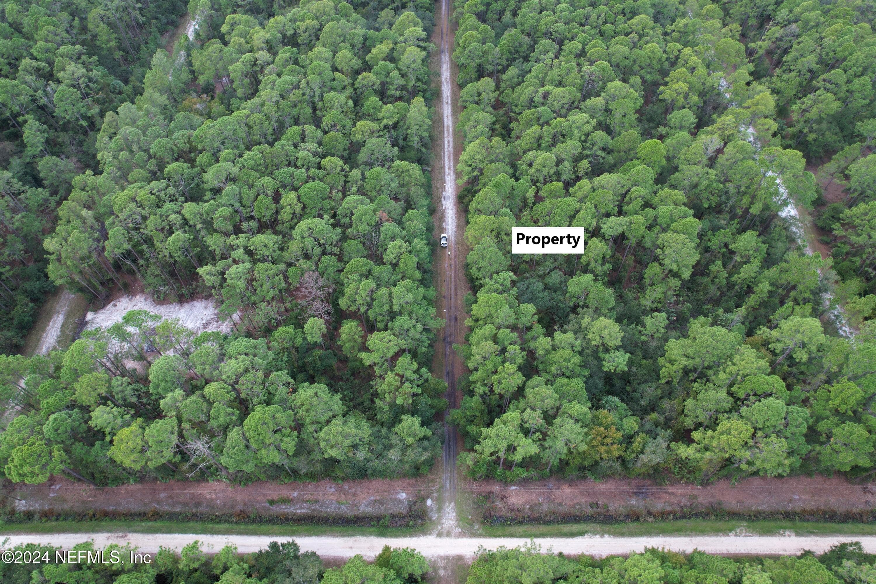 136 HELEN Avenue, Georgetown, FL 32139, Georgetown — photo 3