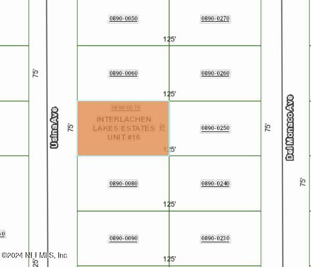 0 USINA Avenue, Interlachen, FL 32148, Interlachen — exterior