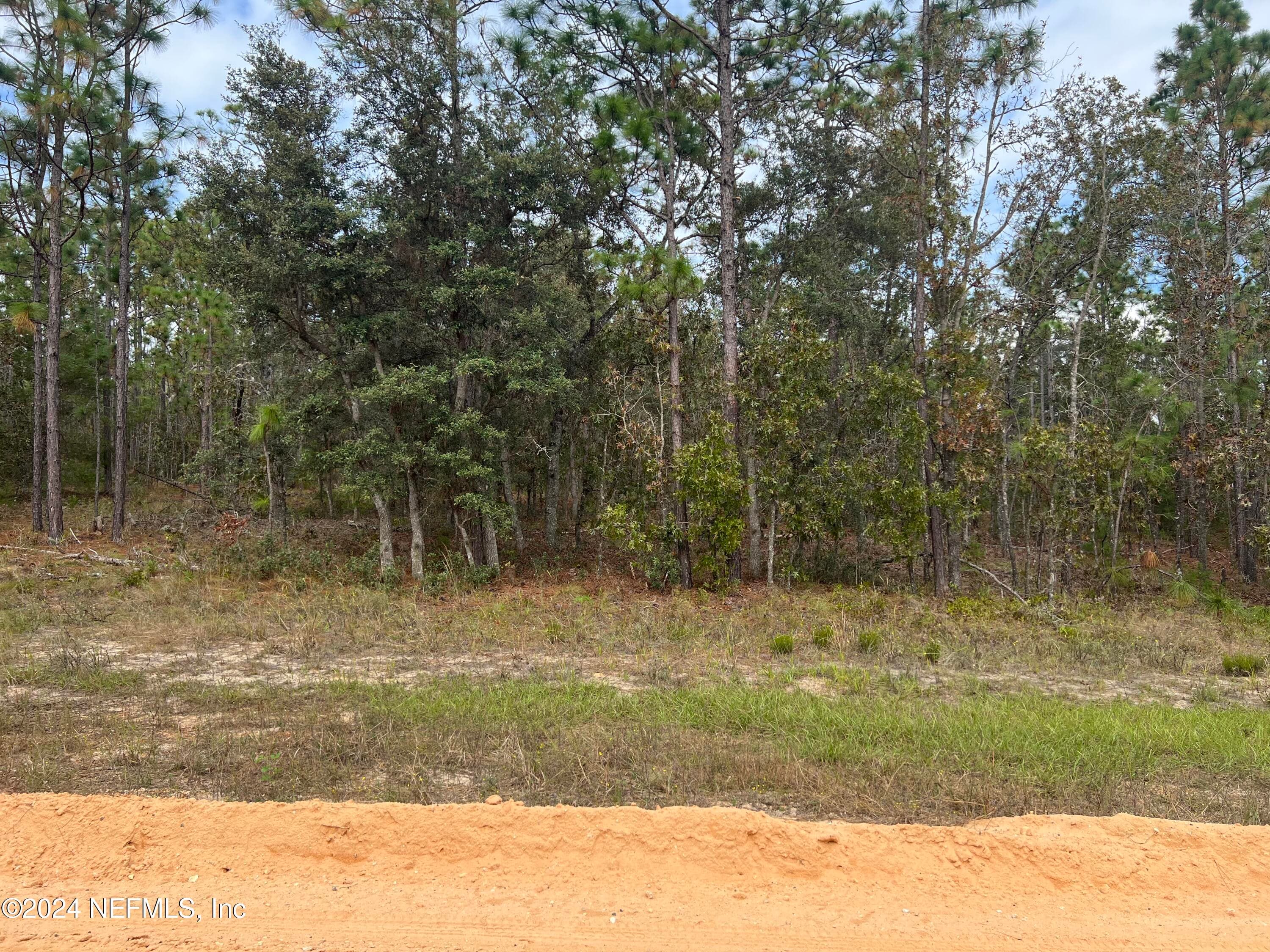 255 MELROSE LANDING Drive, Hawthorne, FL 32640, Hawthorne — photo 3