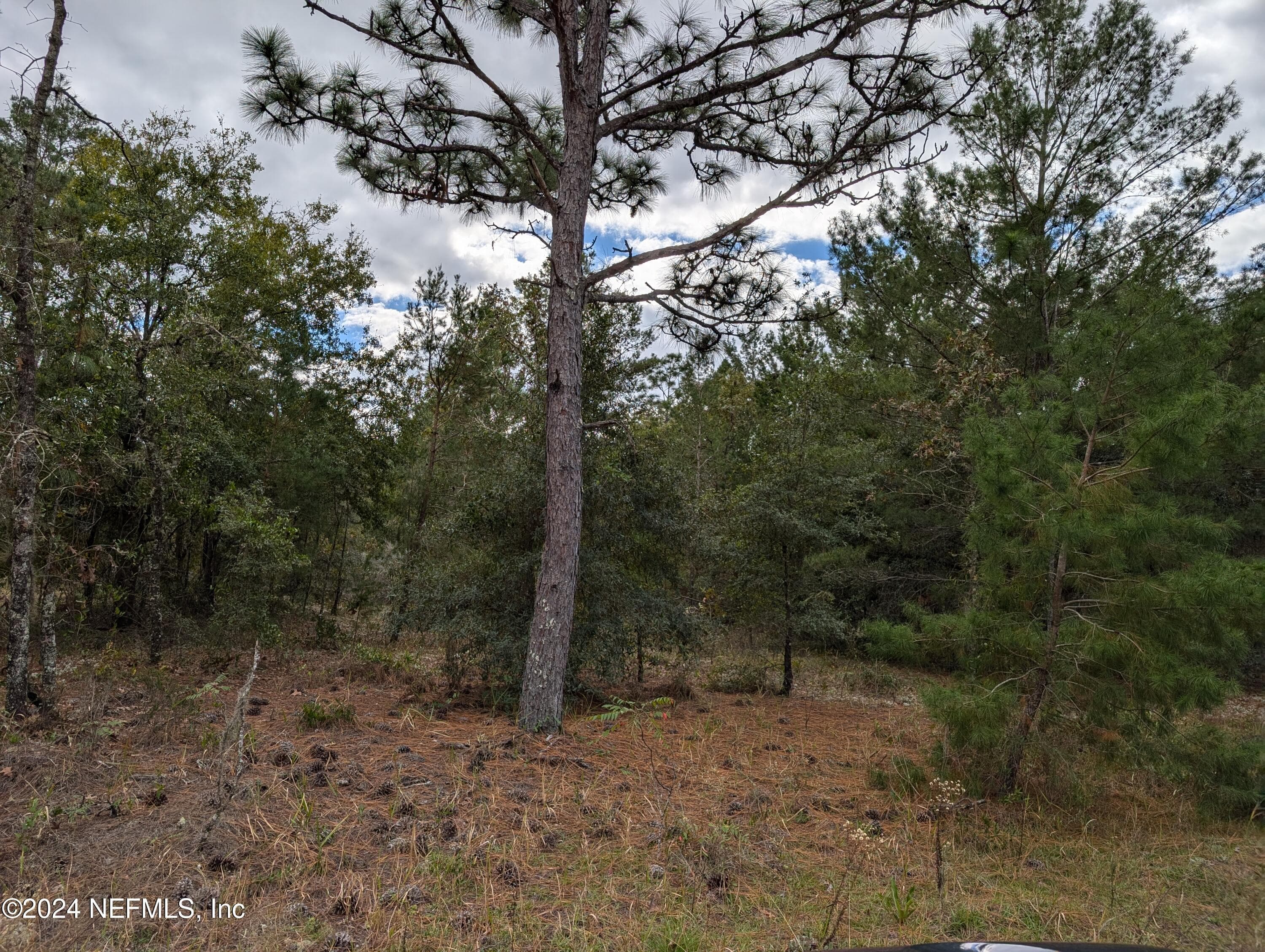 0200 PINE Way, Interlachen, FL 32148, Interlachen — photo 2