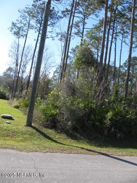 7 ZOLLINGER Place, Palm Coast, FL 32164, Palm Coast — photo 3