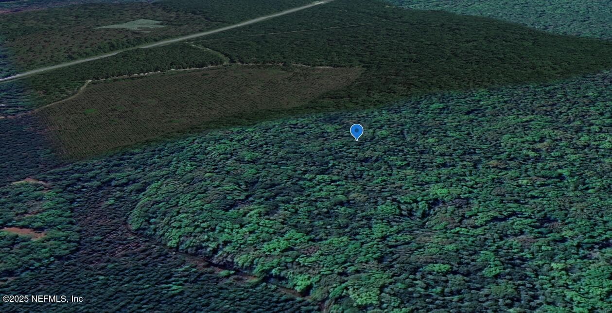 0 GOSHAWK Road, Palatka, FL 32177, Palatka — photo 2