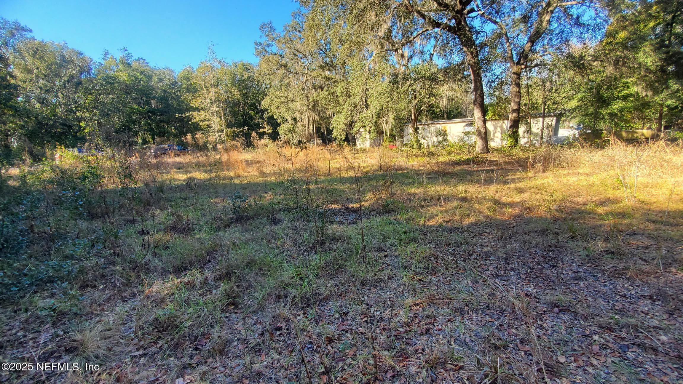 602 SHAPPELL Avenue, Interlachen, FL 32148, Interlachen — photo 3