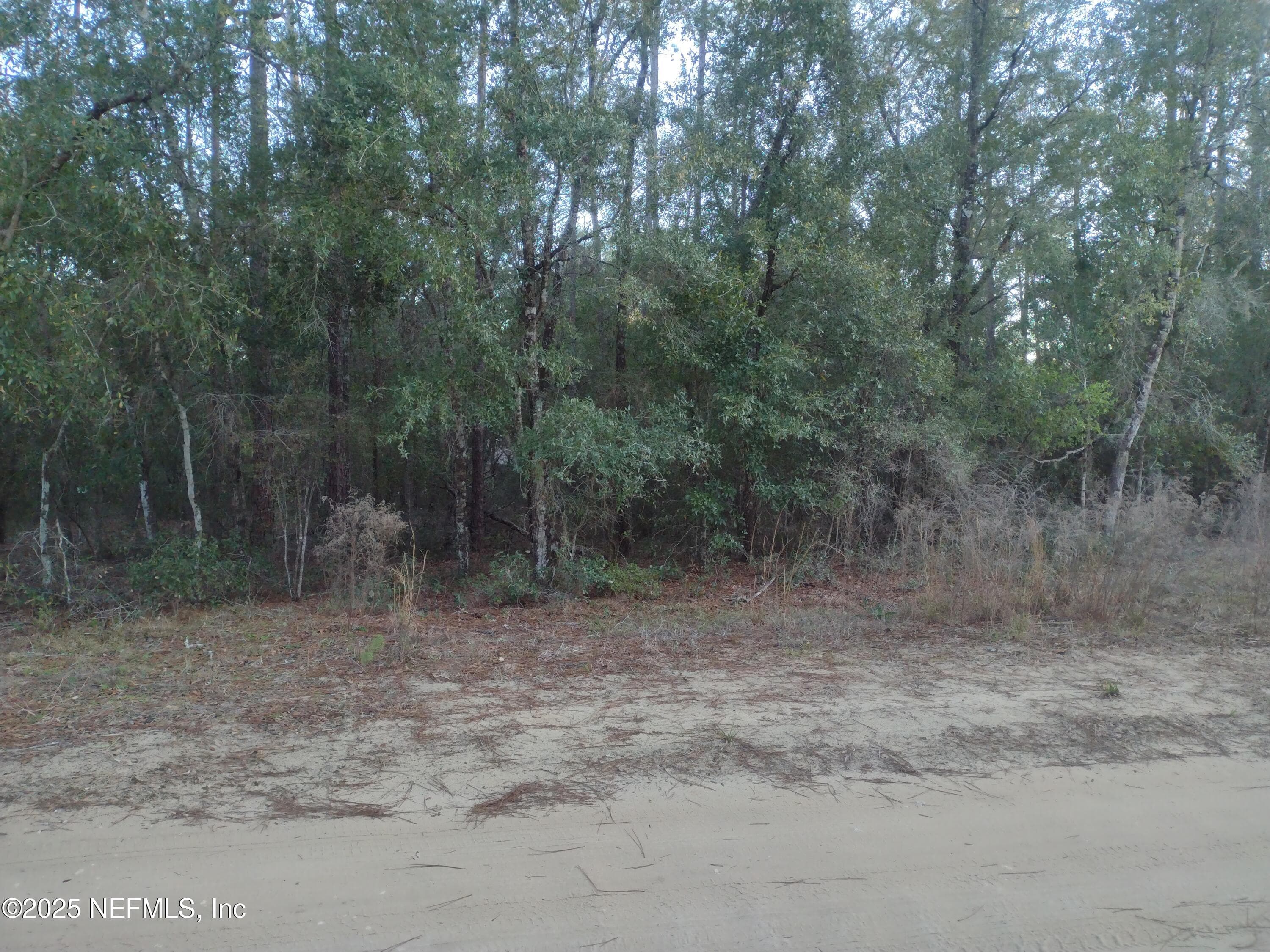 89 TUCKER LAKE Road, Melrose — photo 3