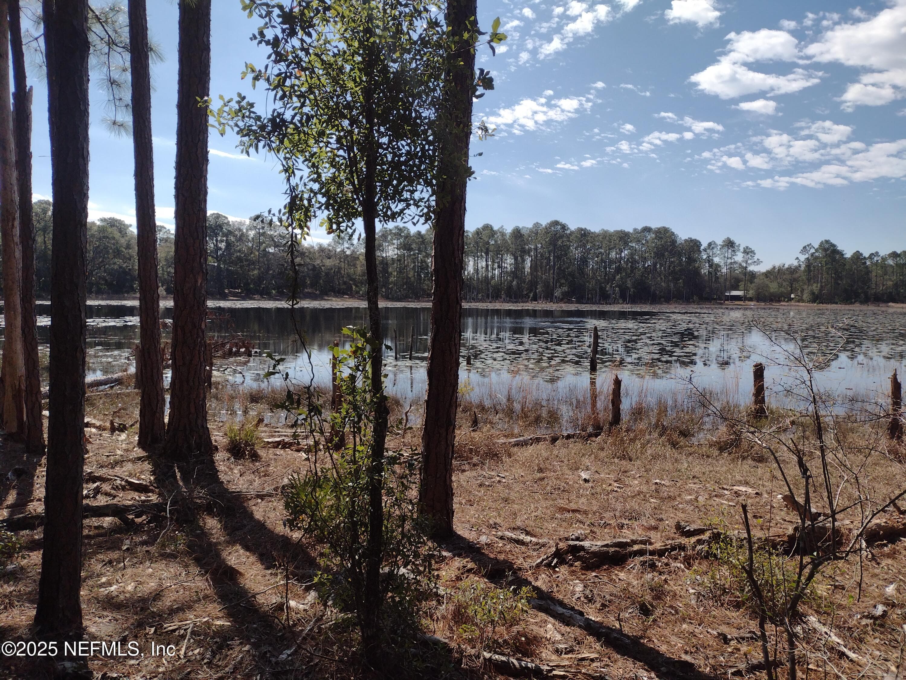 89 TUCKER LAKE Road, Melrose — photo 2