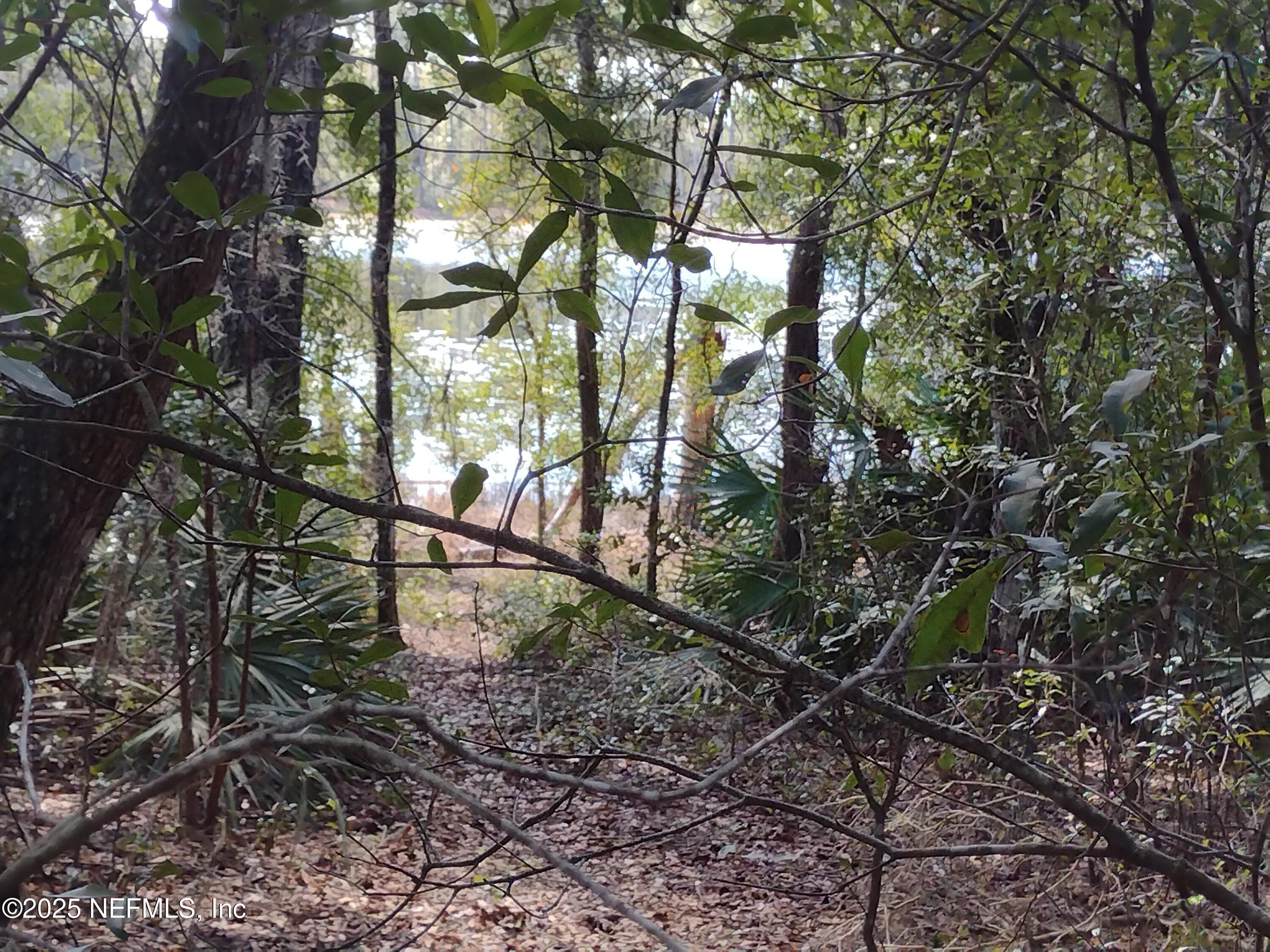 93 TUCKER LAKE Road, Melrose, FL 32666, Melrose — exterior