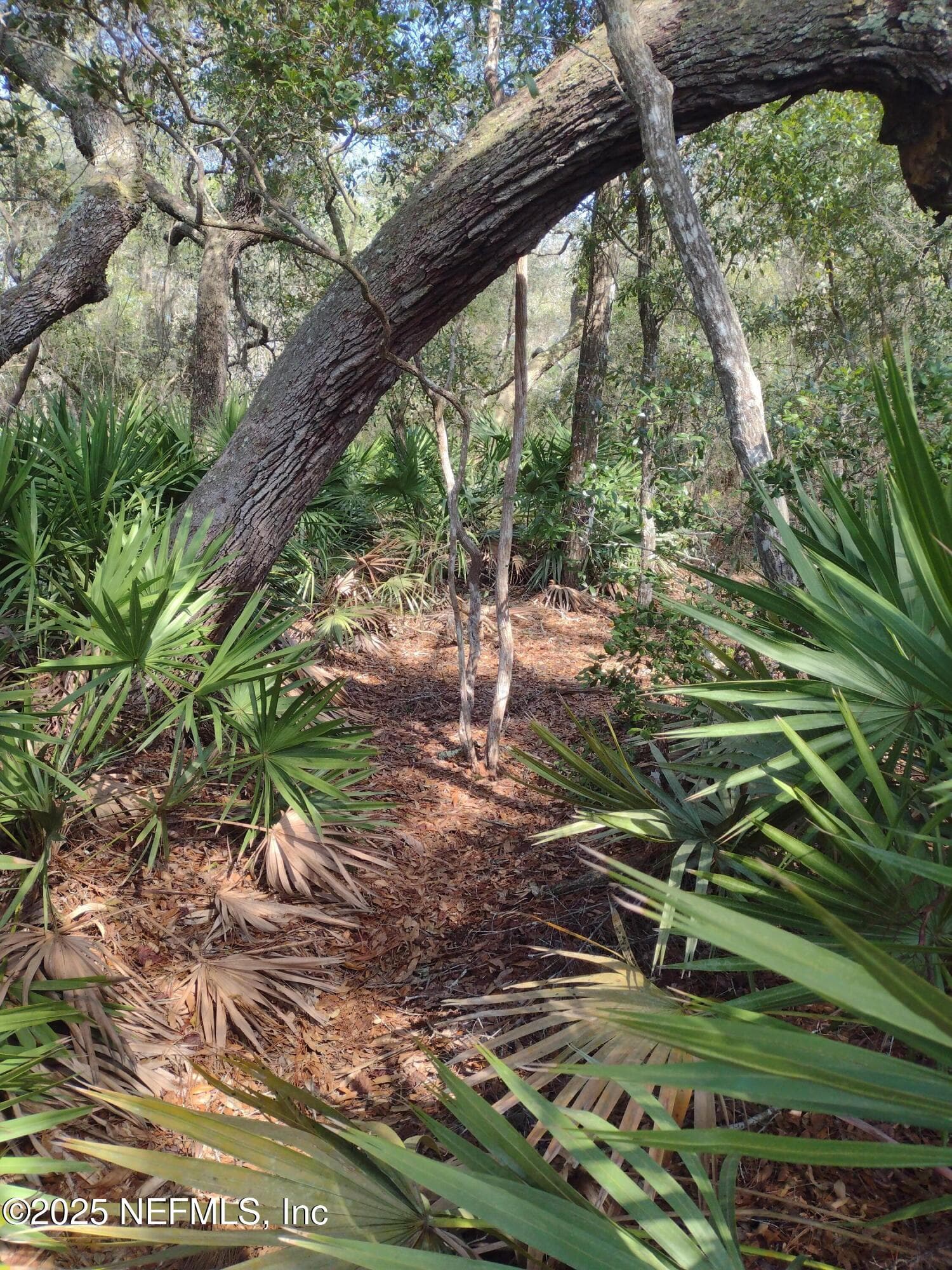 93 TUCKER LAKE Road, Melrose, FL 32666, Melrose — photo 2