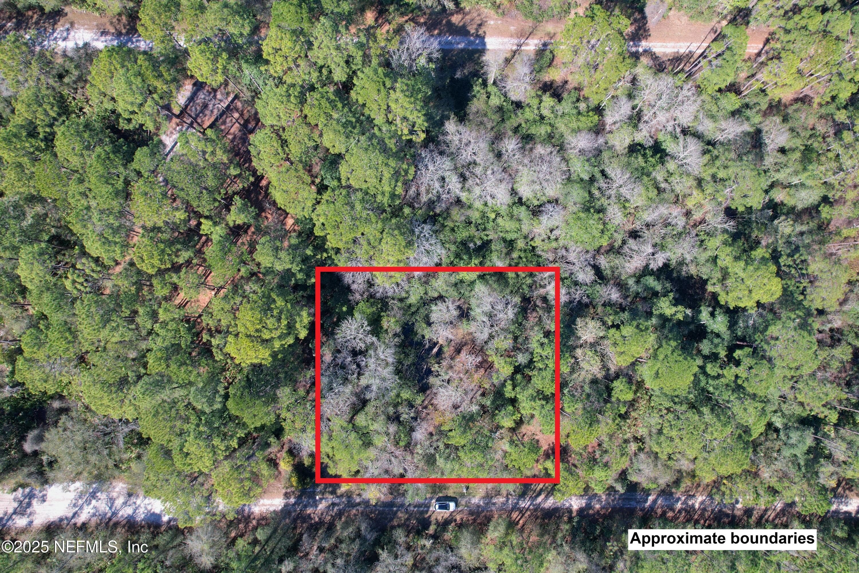 324 PALM Way, Georgetown, FL 32139, Georgetown — exterior