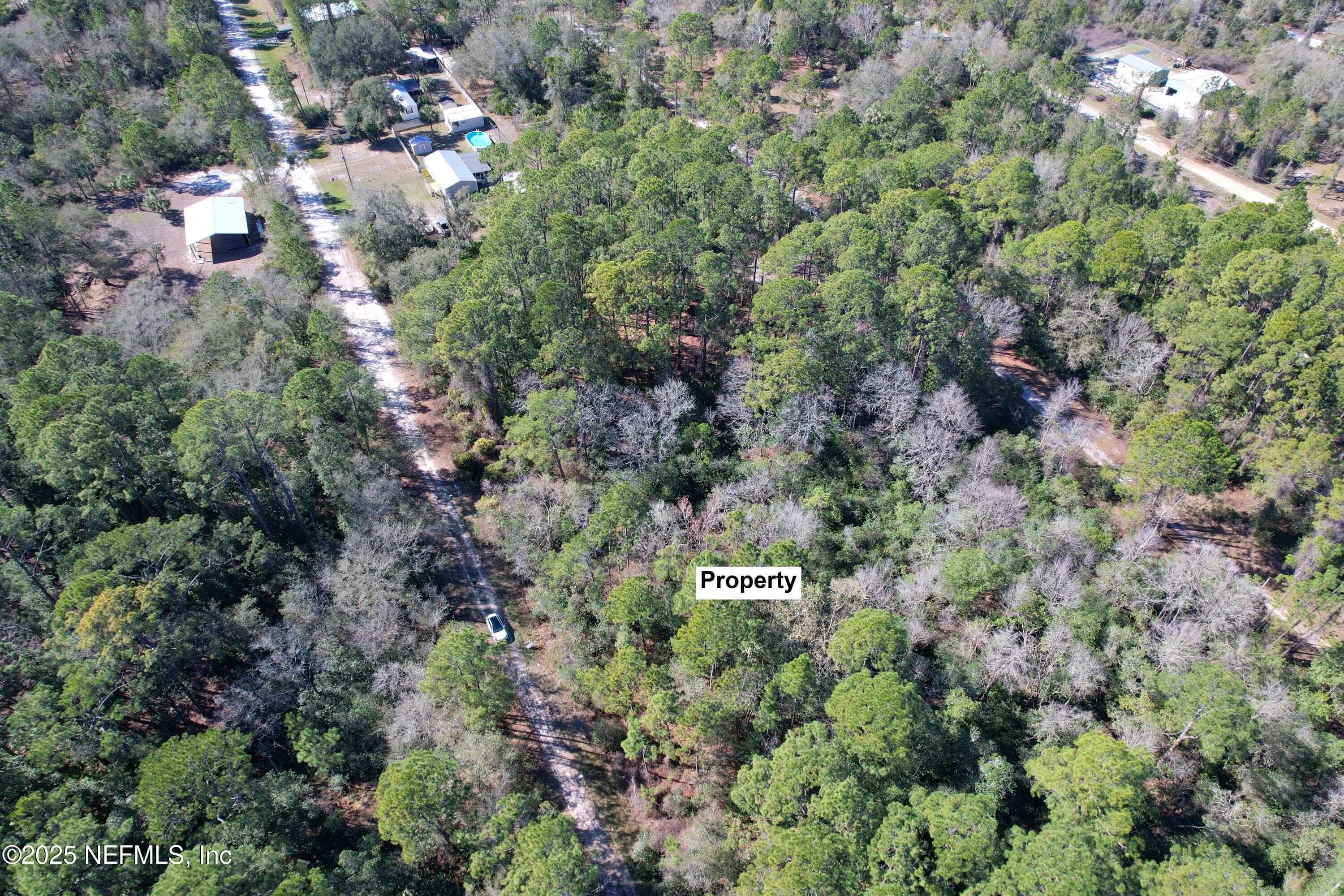 324 PALM Way, Georgetown, FL 32139, Georgetown — photo 2