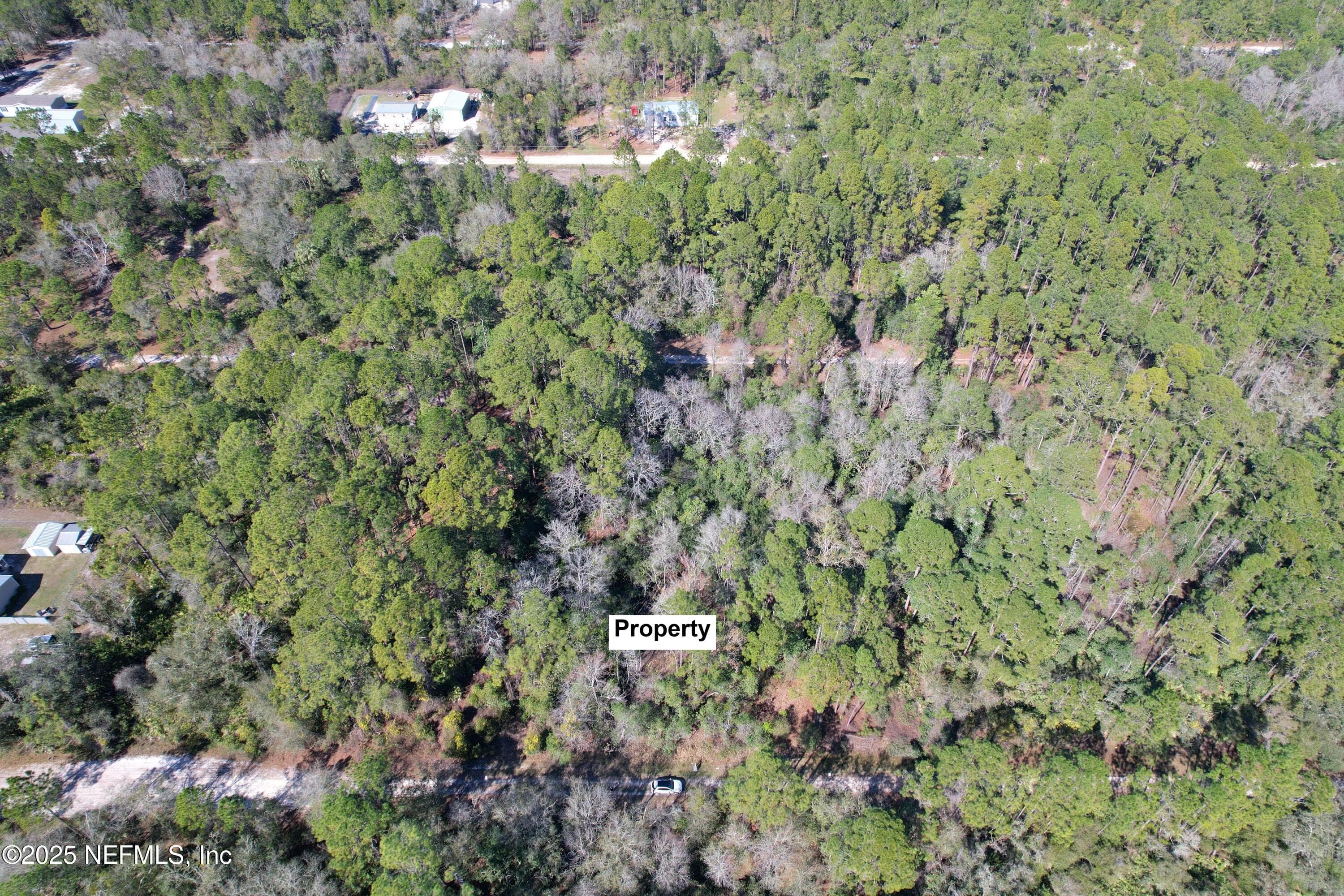 324 PALM Way, Georgetown, FL 32139, Georgetown — photo 3