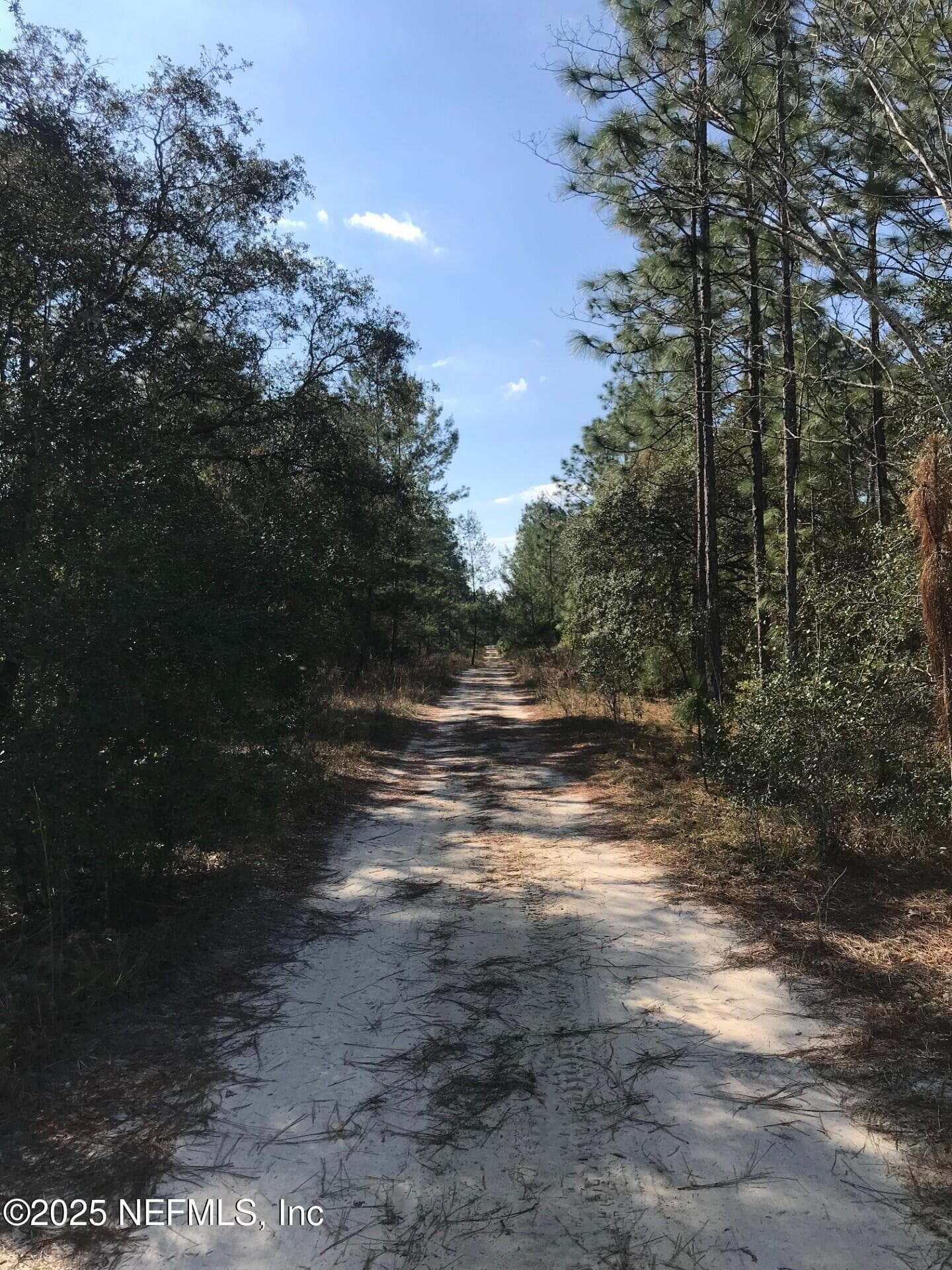 404 MOURNING DOVE Road, Satsuma, FL 32189, Satsuma — photo 3