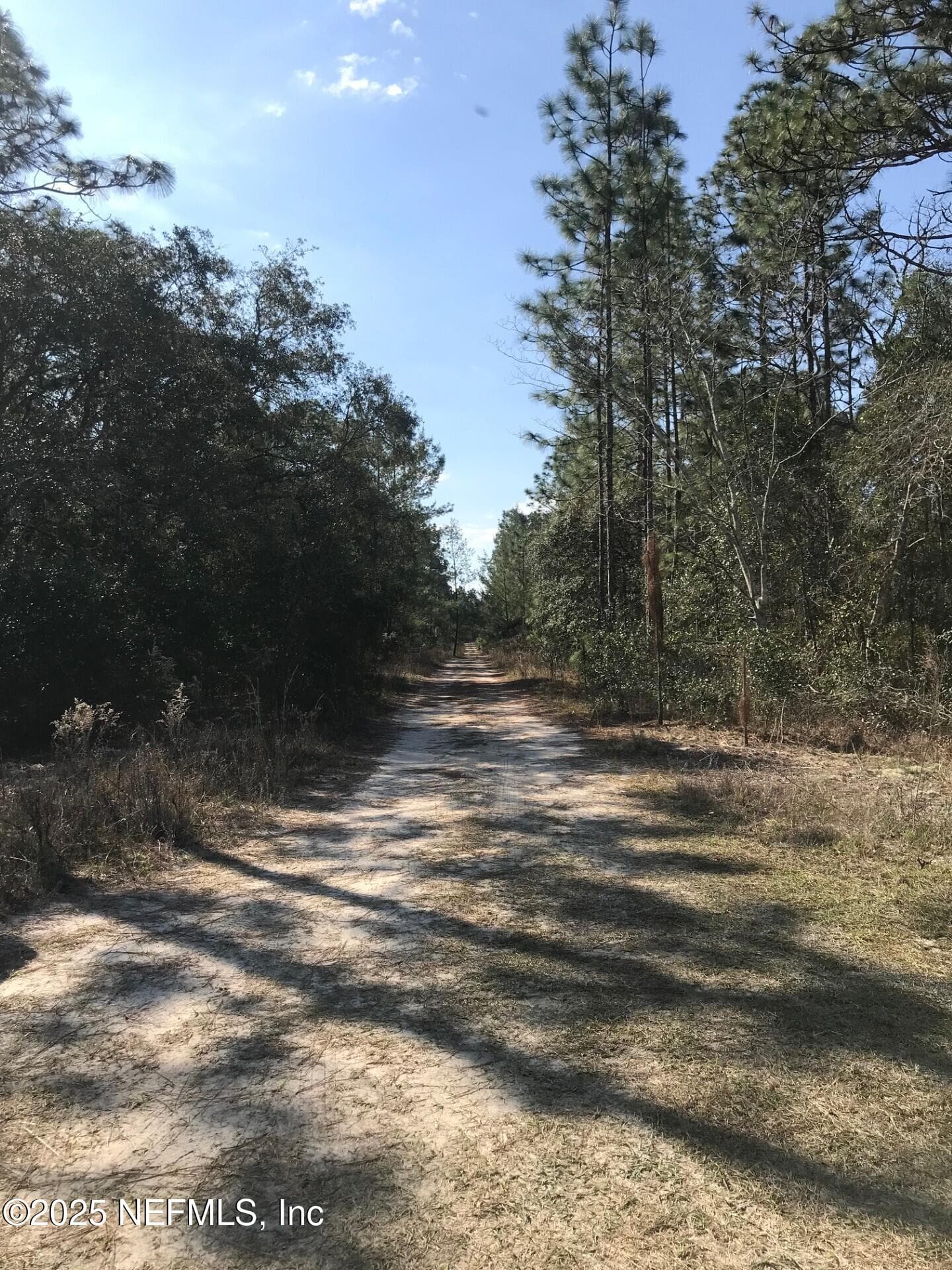 404 MOURNING DOVE Road, Satsuma, FL 32189, Satsuma — photo 2