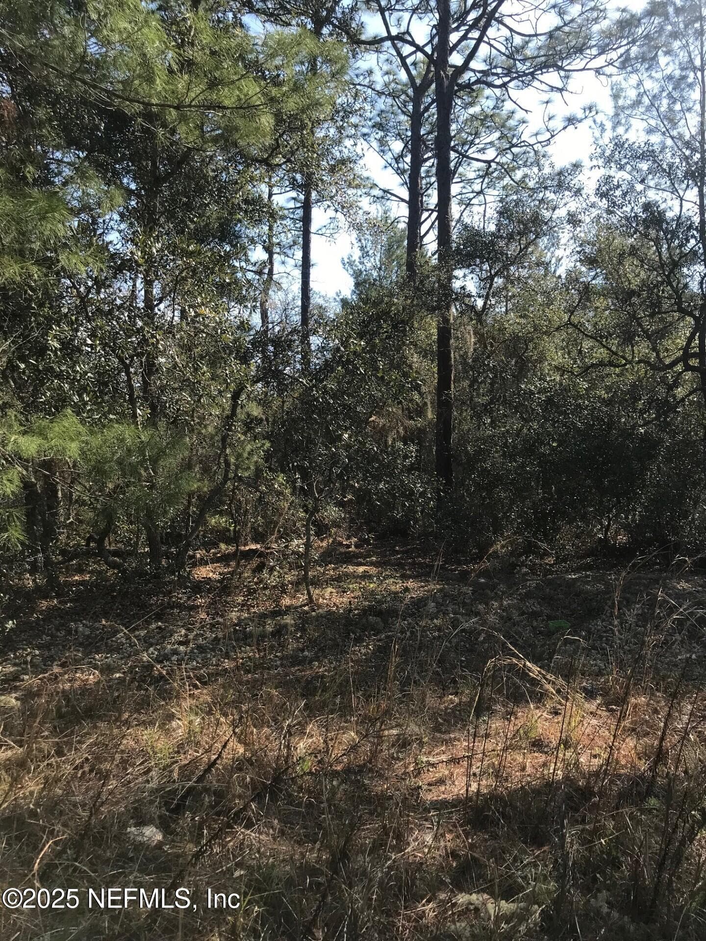 404 MOURNING DOVE Road, Satsuma, FL 32189, Satsuma — exterior