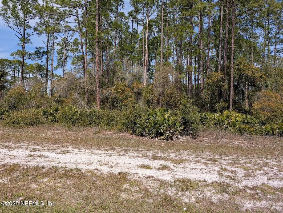 350 & 354 GEORGETOWN DENVER Road, Georgetown, FL 32139, Georgetown — photo 2