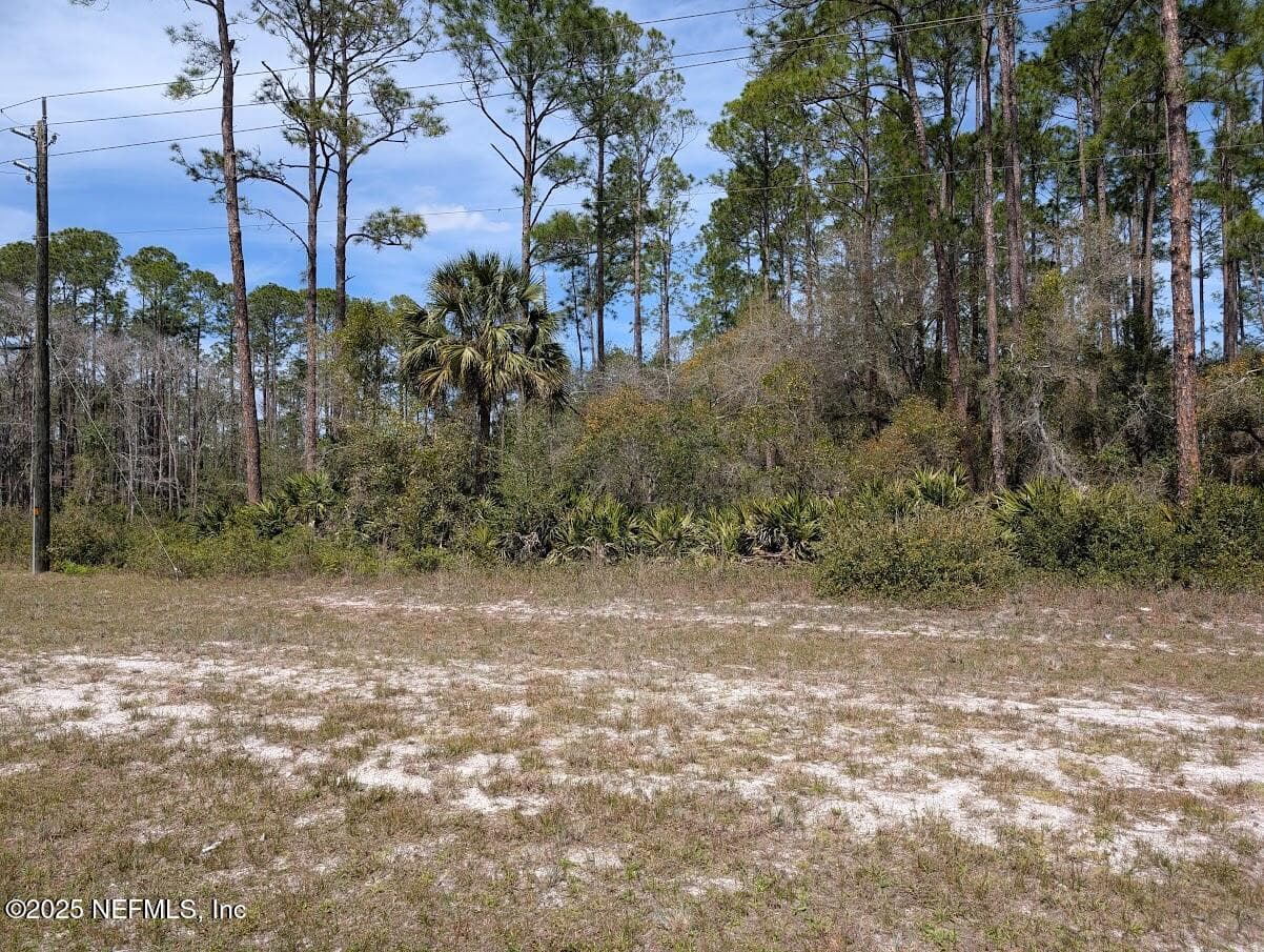 350 & 354 GEORGETOWN DENVER Road, Georgetown, FL 32139, Georgetown — photo 3