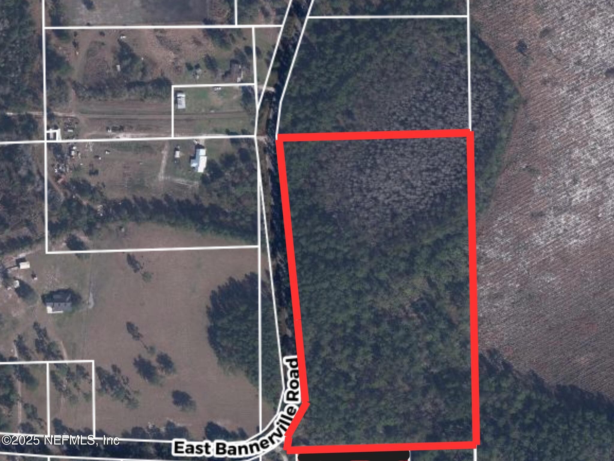 TBD E BANNERVILLE (12.49 ACRES) Road, Palatka, FL 32177, Palatka — exterior