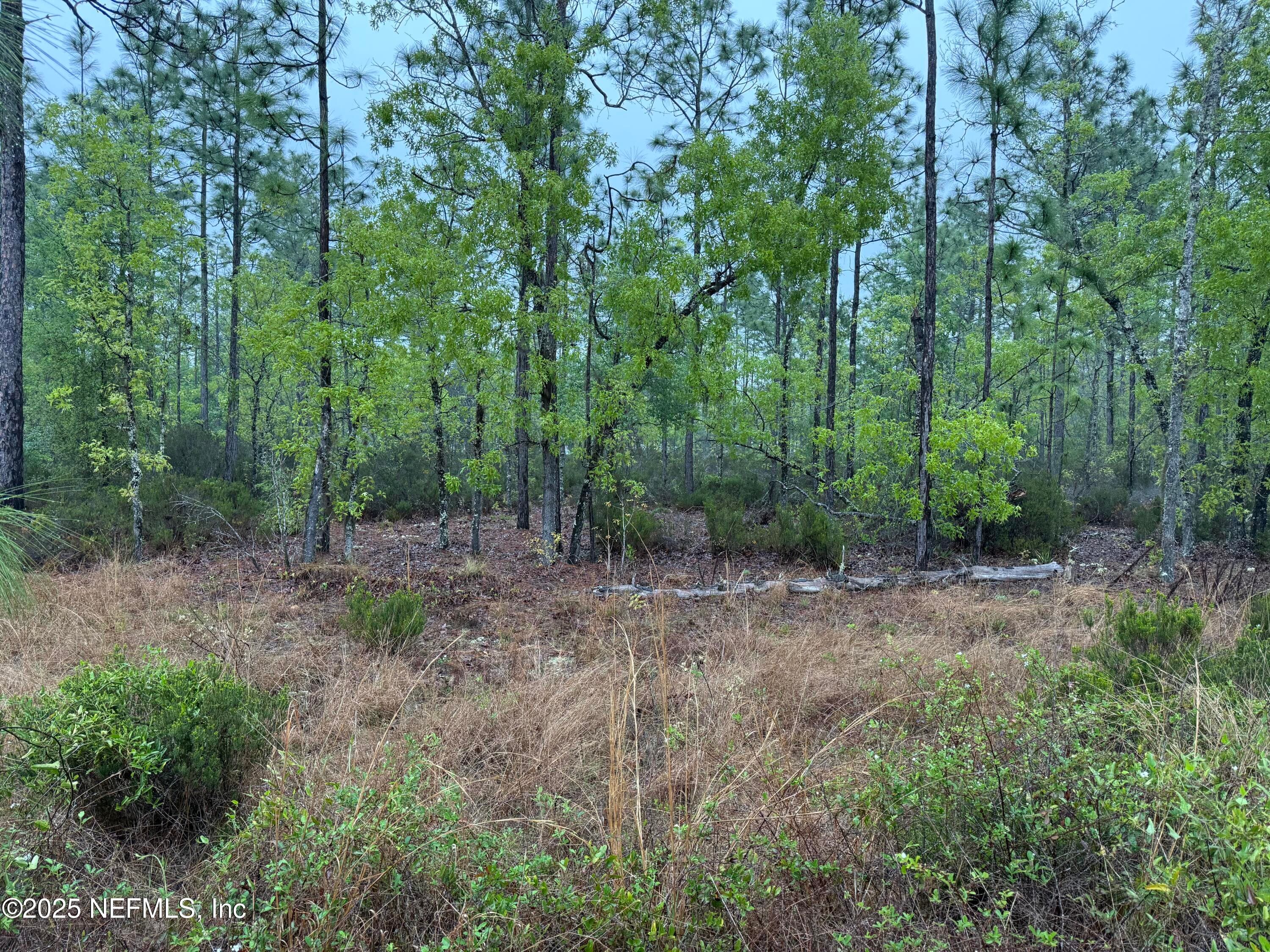 0 LOTS 32 + 33, Interlachen — exterior