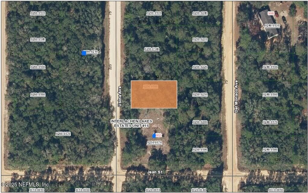 XXX USINA Avenue, Interlachen, FL 32148, Interlachen — photo 2