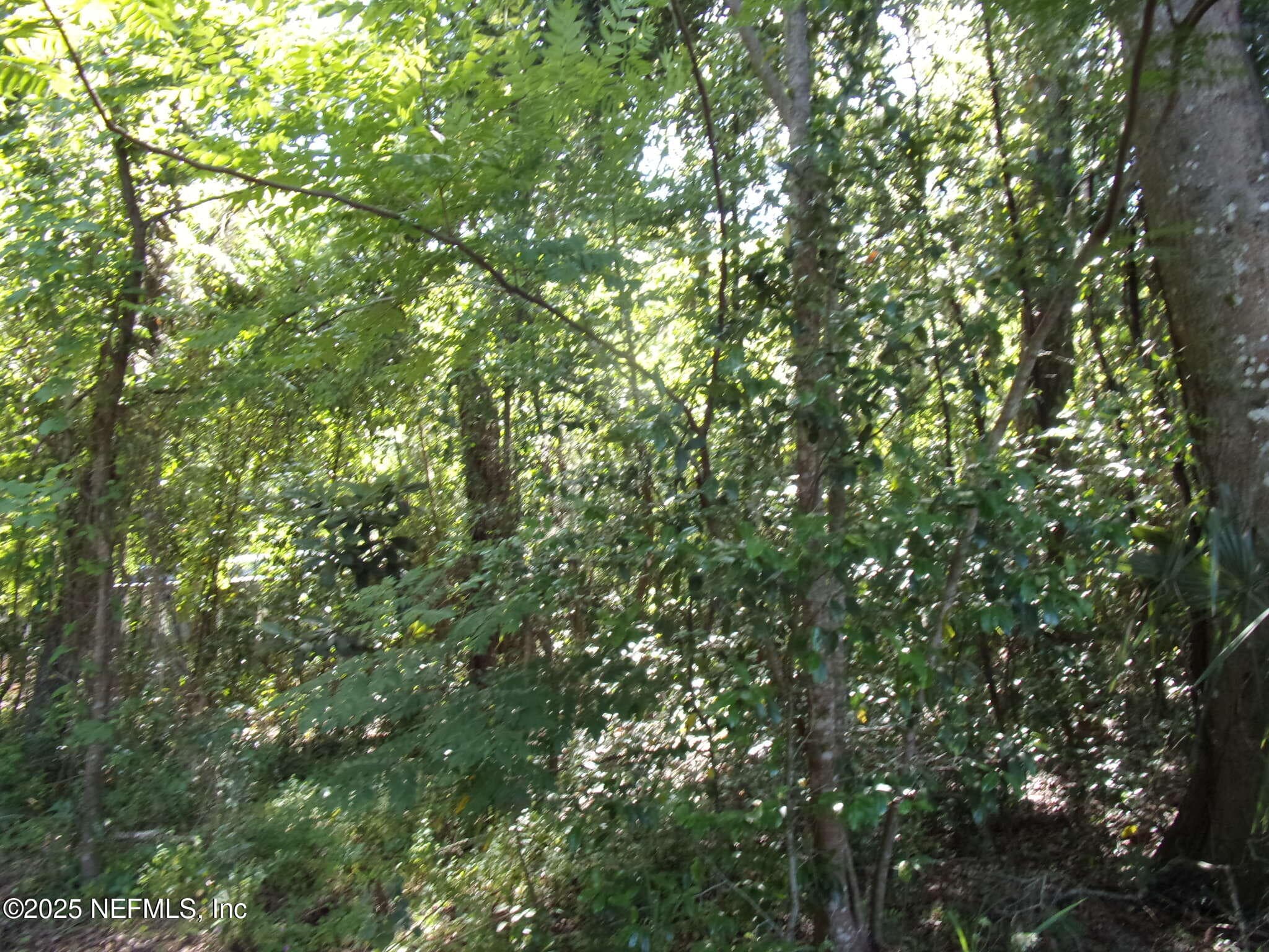 000 EDGEMOOR Trail, Palatka, FL 32177, Palatka — photo 3