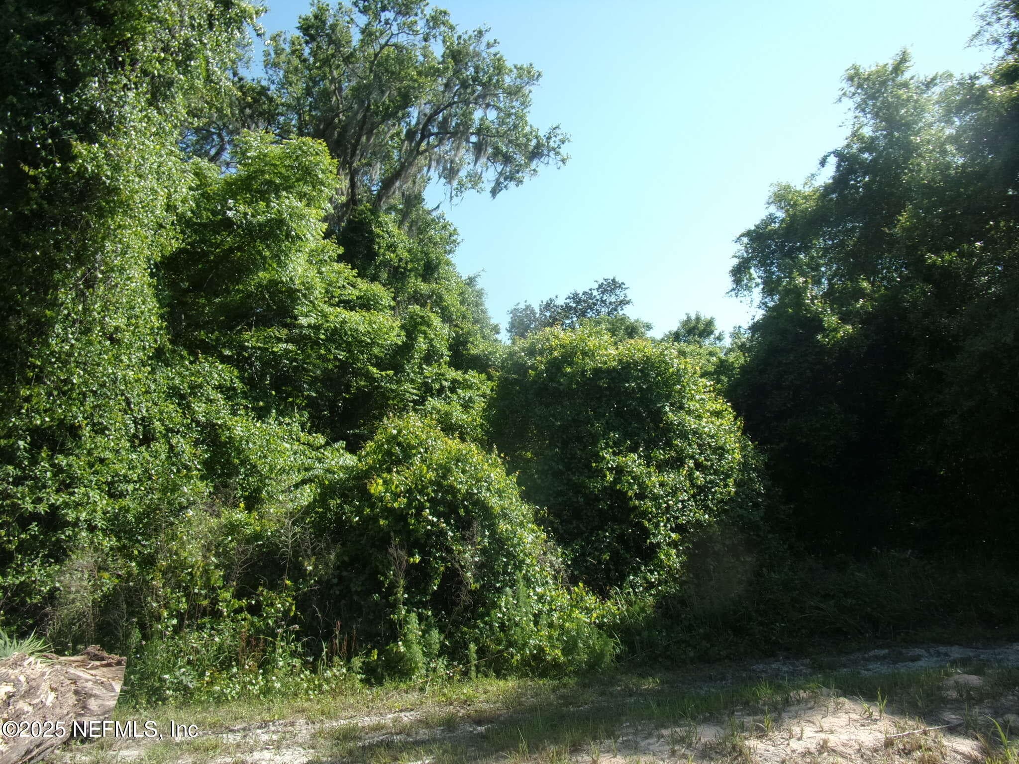000 EDGEMOOR Trail, Palatka, FL 32177, Palatka — photo 2