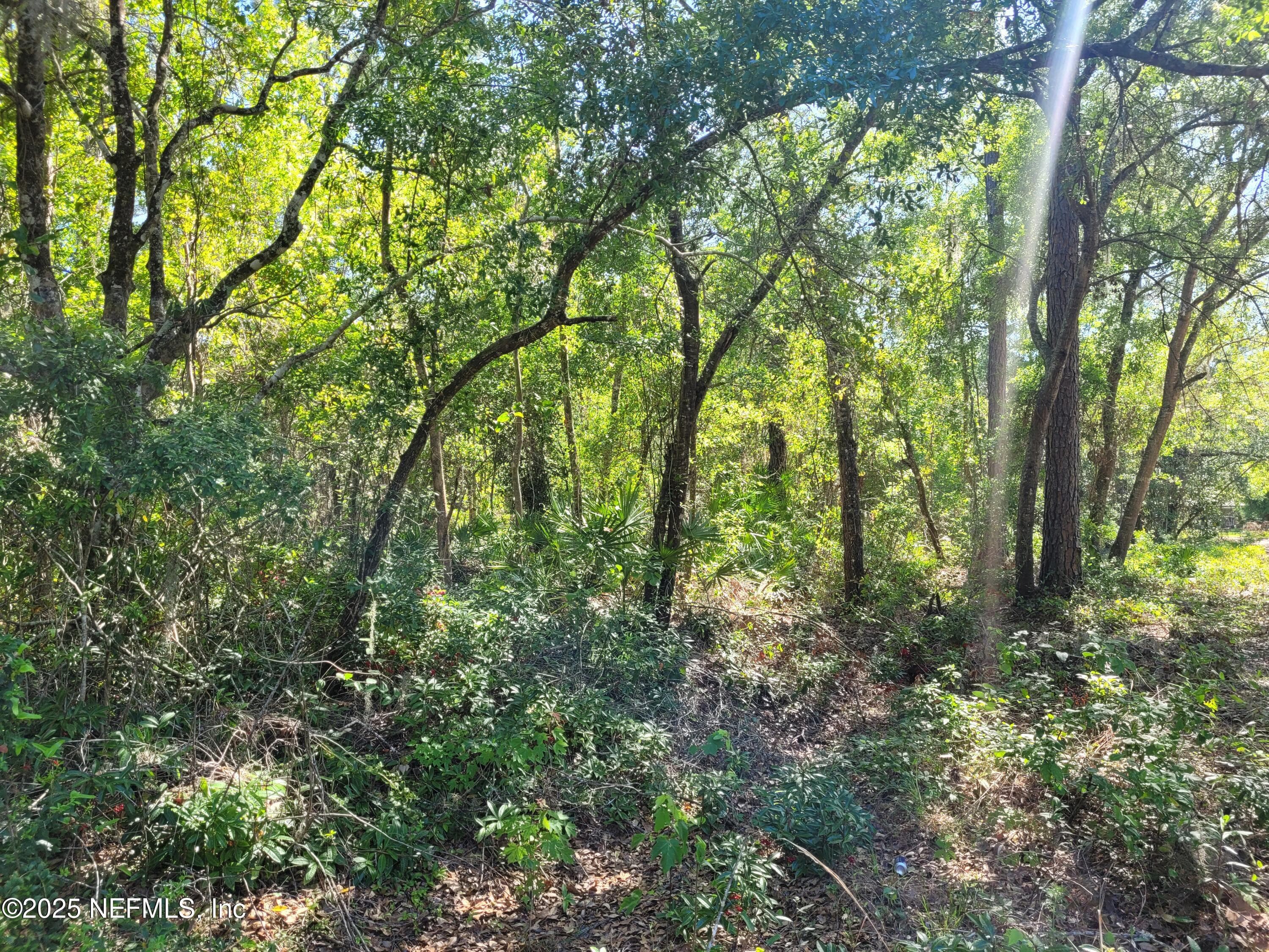 203 SOUTHERN Avenue, Crescent City, FL 32112, Crescent City — photo 2