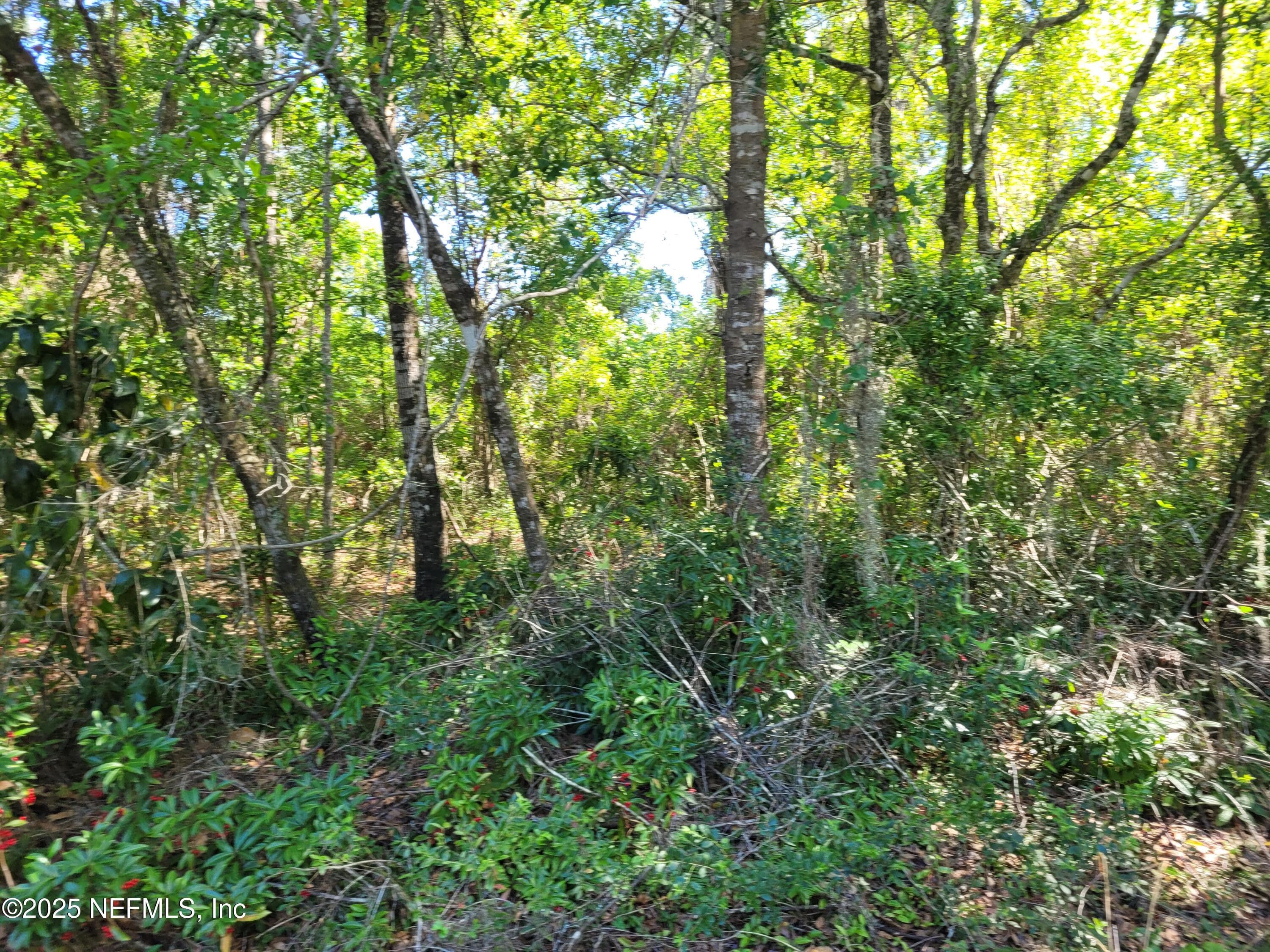 203 SOUTHERN Avenue, Crescent City, FL 32112, Crescent City — photo 3