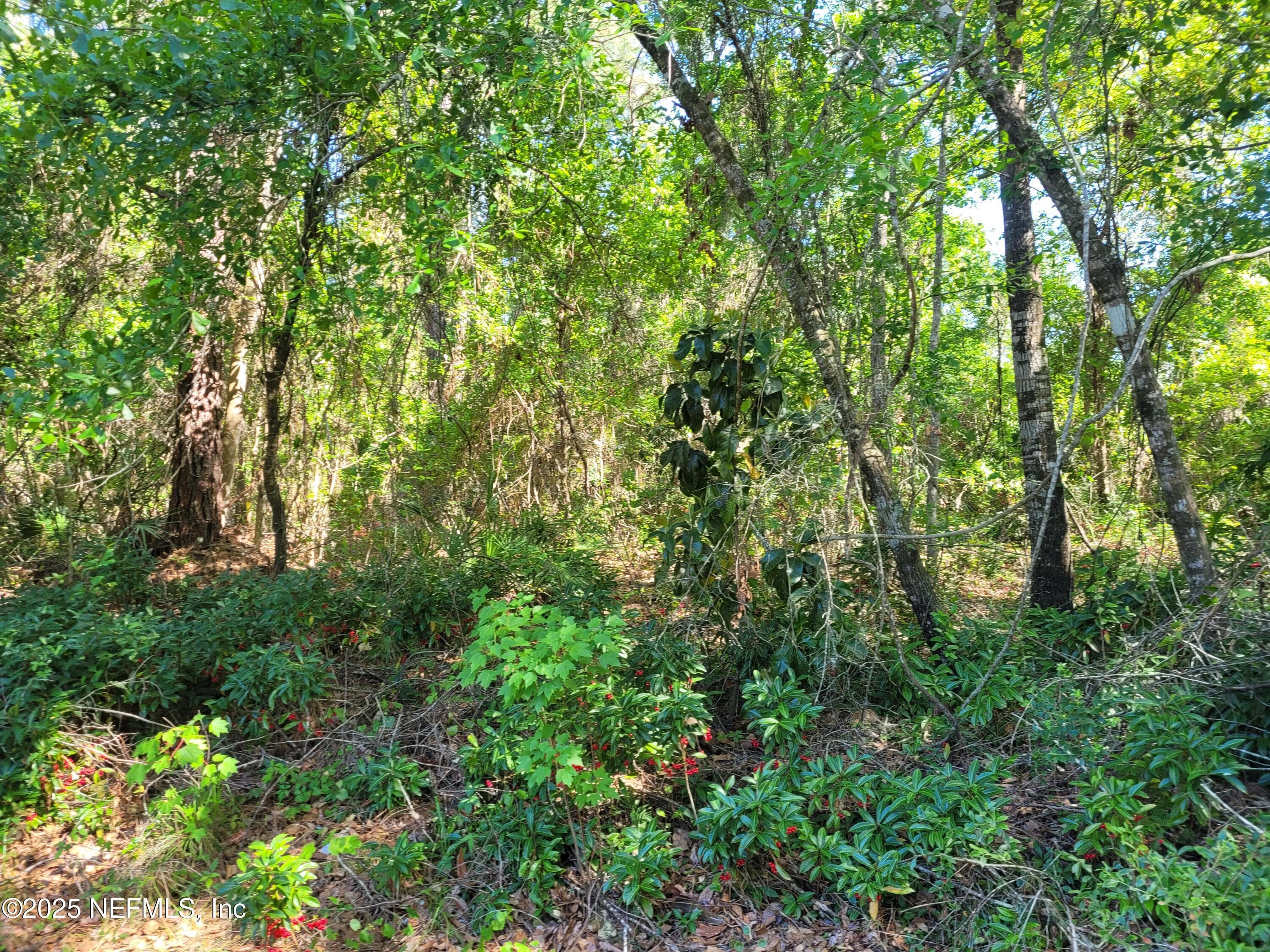 209 SOUTHERN Avenue, Crescent City, FL 32112, Crescent City — photo 2