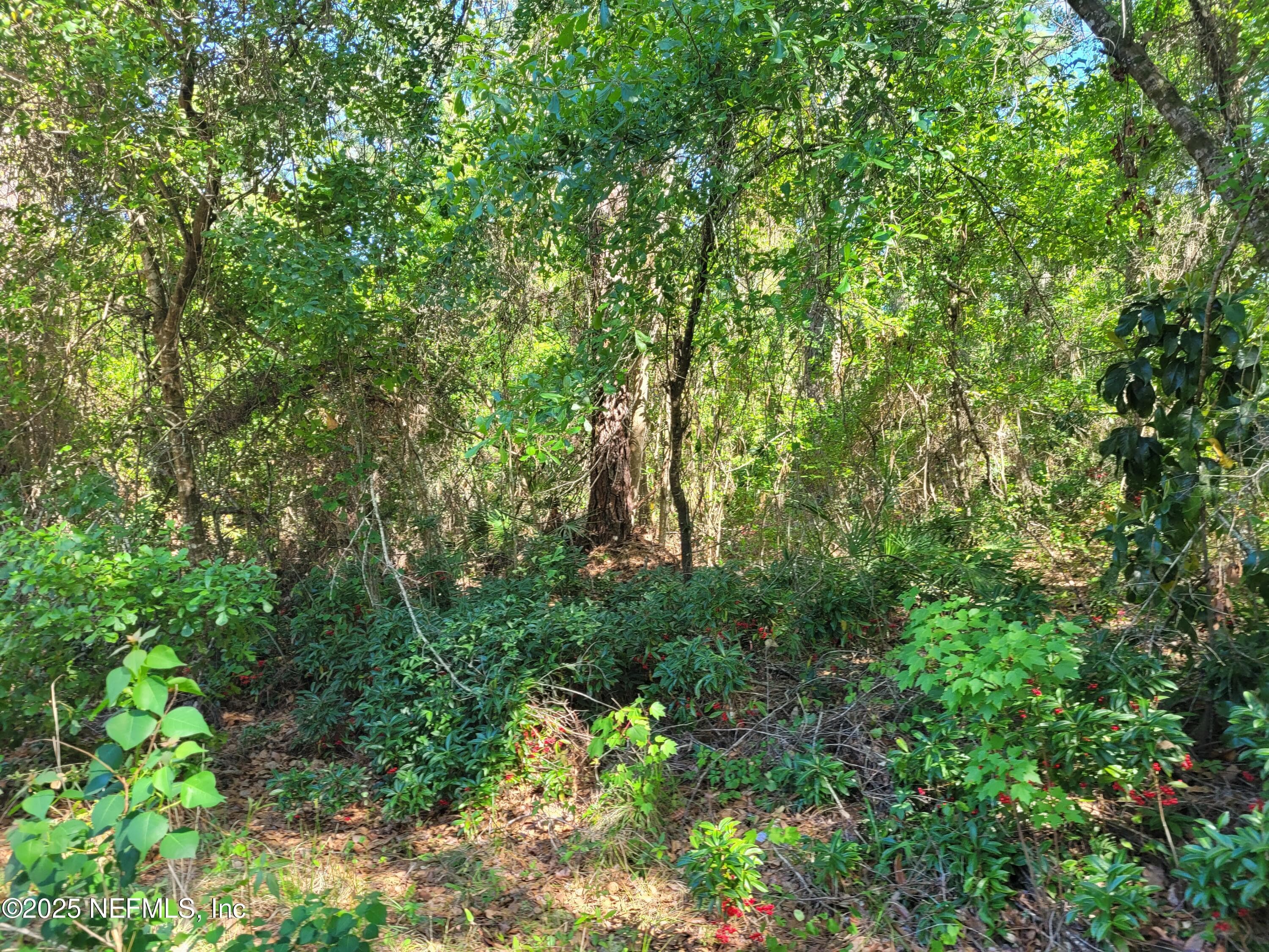 209 SOUTHERN Avenue, Crescent City, FL 32112, Crescent City — photo 3
