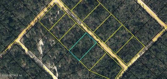 TBD PERSIMMON Lane, Marianna, FL 32446, Marianna — photo 2