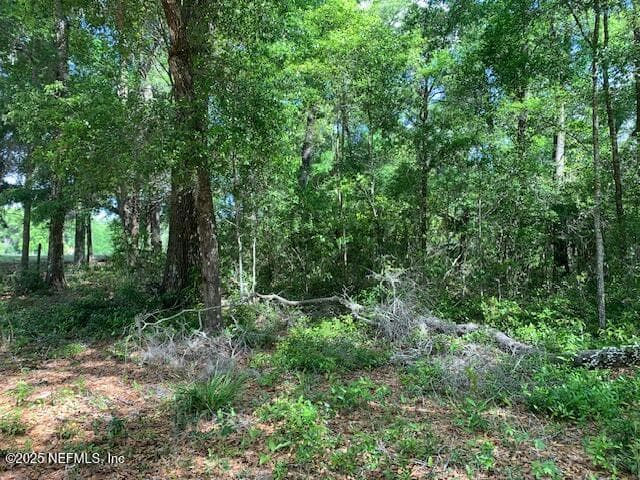 000 DOROTHY Street, Interlachen, FL 32148, Interlachen — photo 3