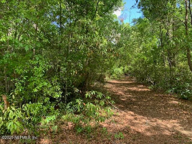 000 DOROTHY Street, Interlachen, FL 32148, Interlachen — exterior