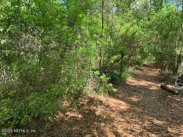 000 DOROTHY Street, Interlachen, FL 32148, Interlachen — photo 2