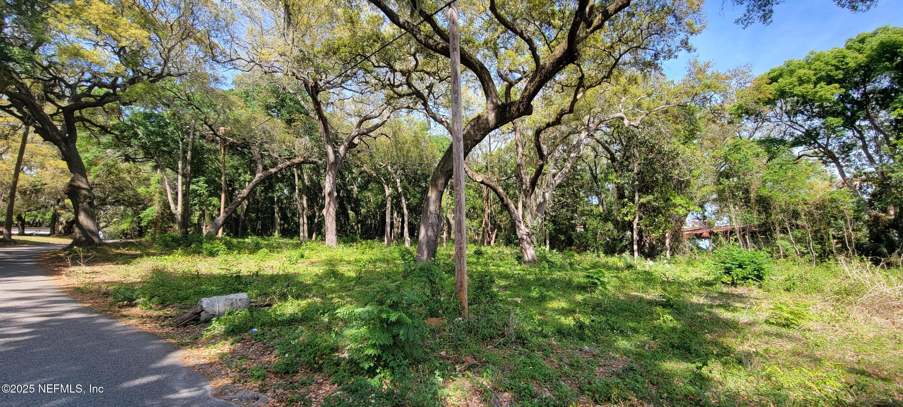 0 APOLLO Avenue, Jacksonville, FL 32226, Jacksonville — photo 2