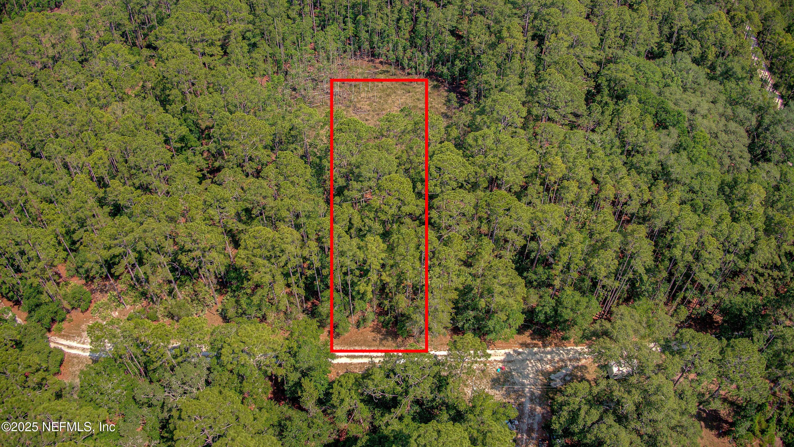 109 ARDEN Street, Georgetown, FL 32139, Georgetown — photo 2