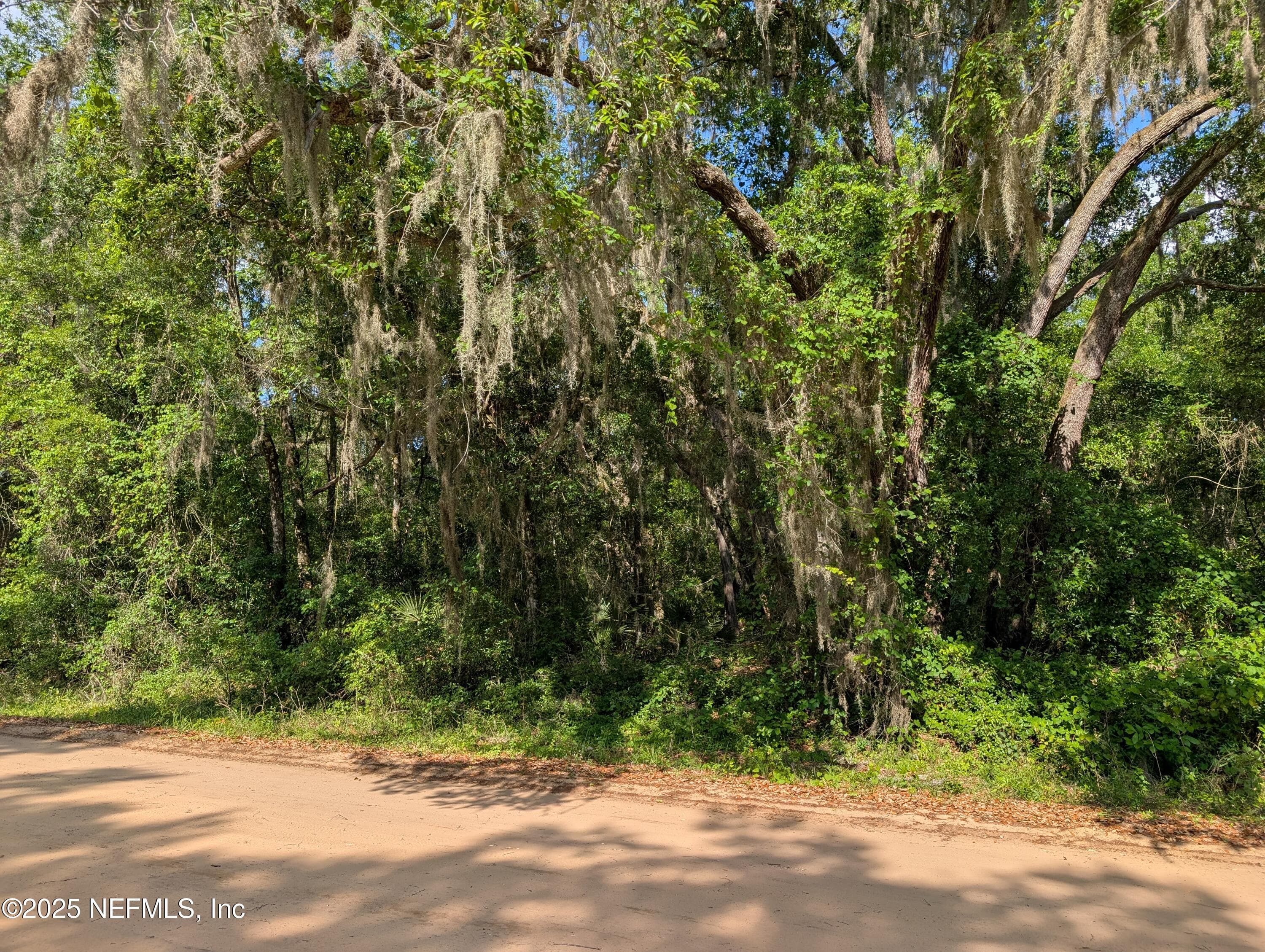 LOT 25 WALKER Drive, Interlachen, FL 32148, Interlachen — exterior