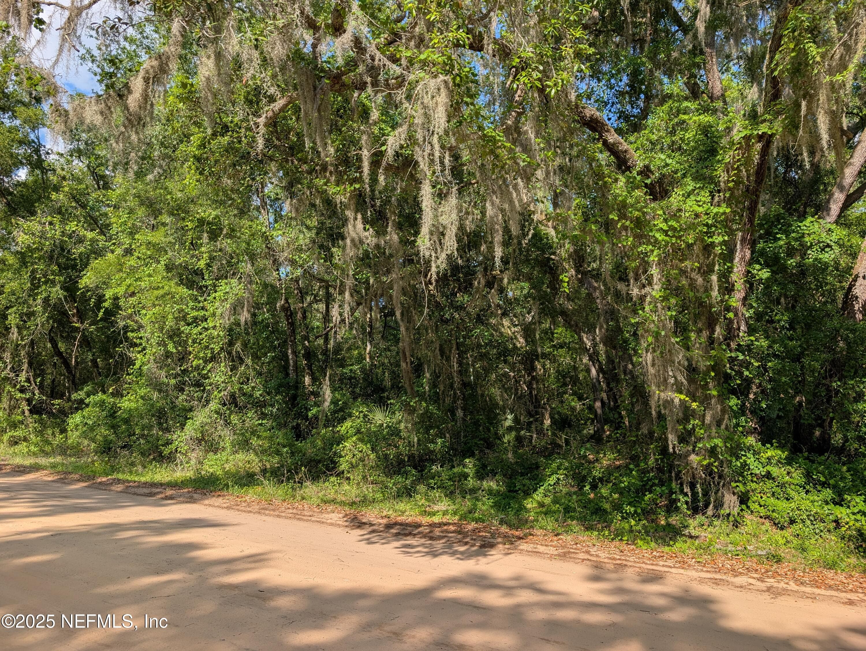 LOT 25 WALKER Drive, Interlachen, FL 32148, Interlachen — photo 2