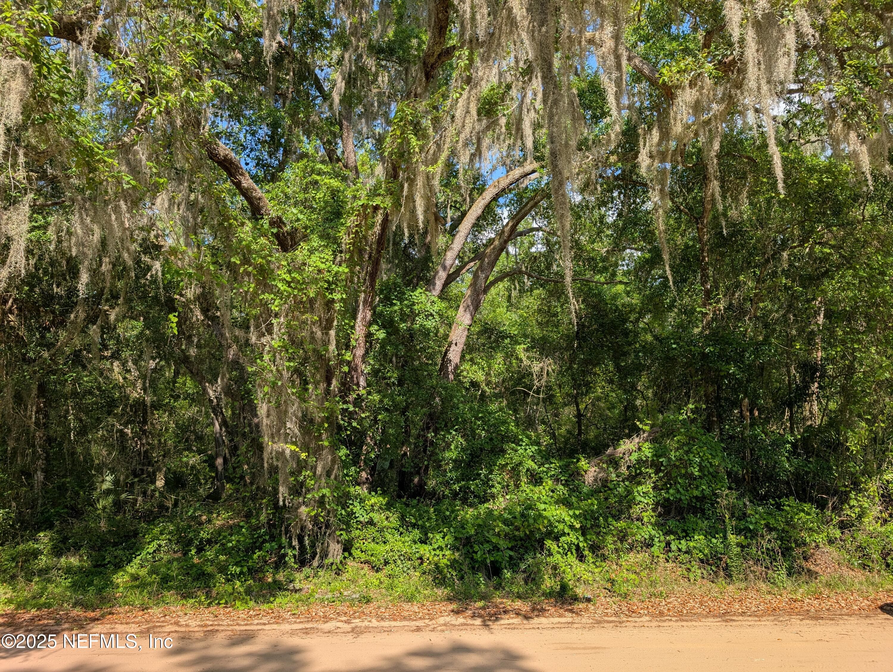 LOT 25 WALKER Drive, Interlachen, FL 32148, Interlachen — photo 3