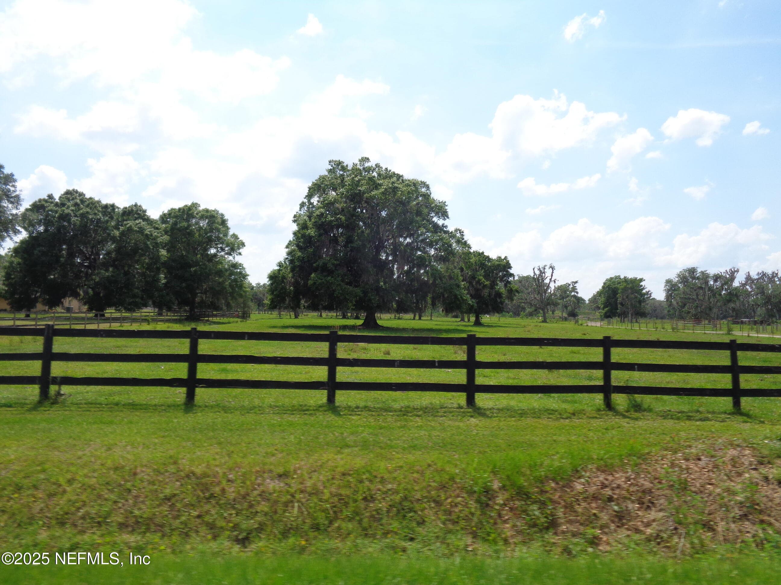 TBD BARREL FACTORY Road, Hastings, FL 32145, Hastings — photo 2
