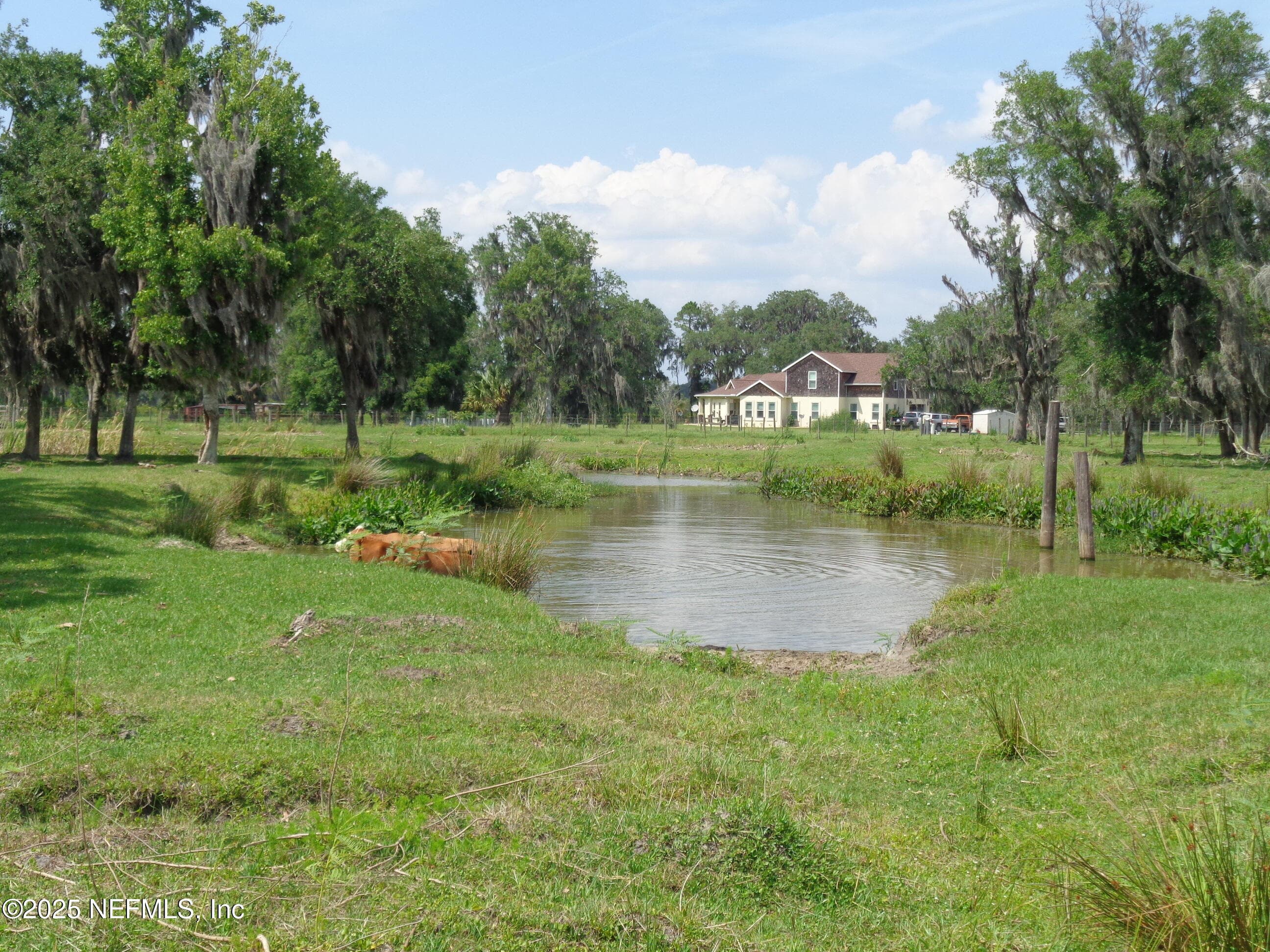 TBD BARREL FACTORY Road, Hastings, FL 32145, Hastings — photo 3