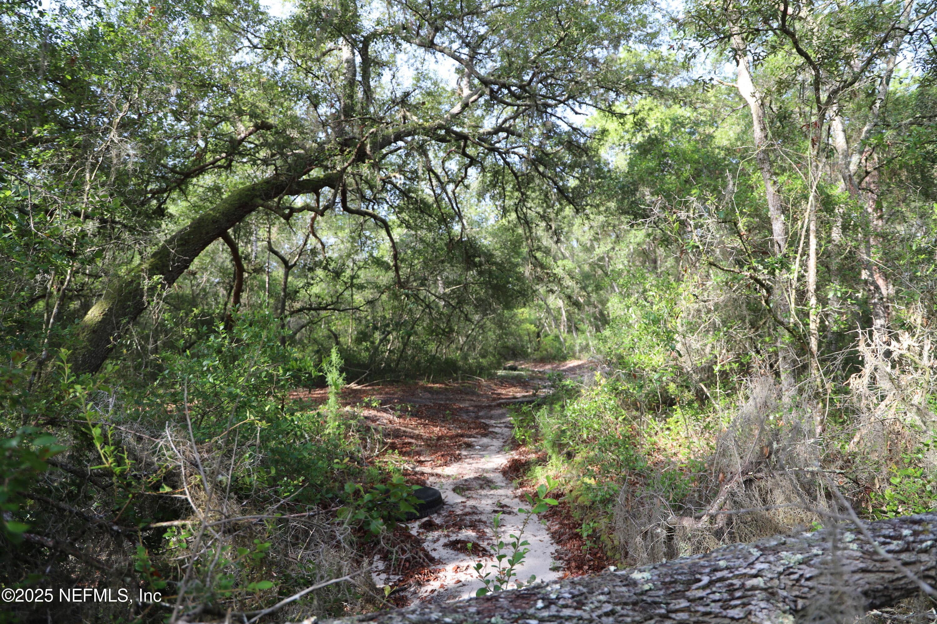 00 STATE ROAD 100, Keystone Heights, FL 32656, Keystone Heights — photo 2