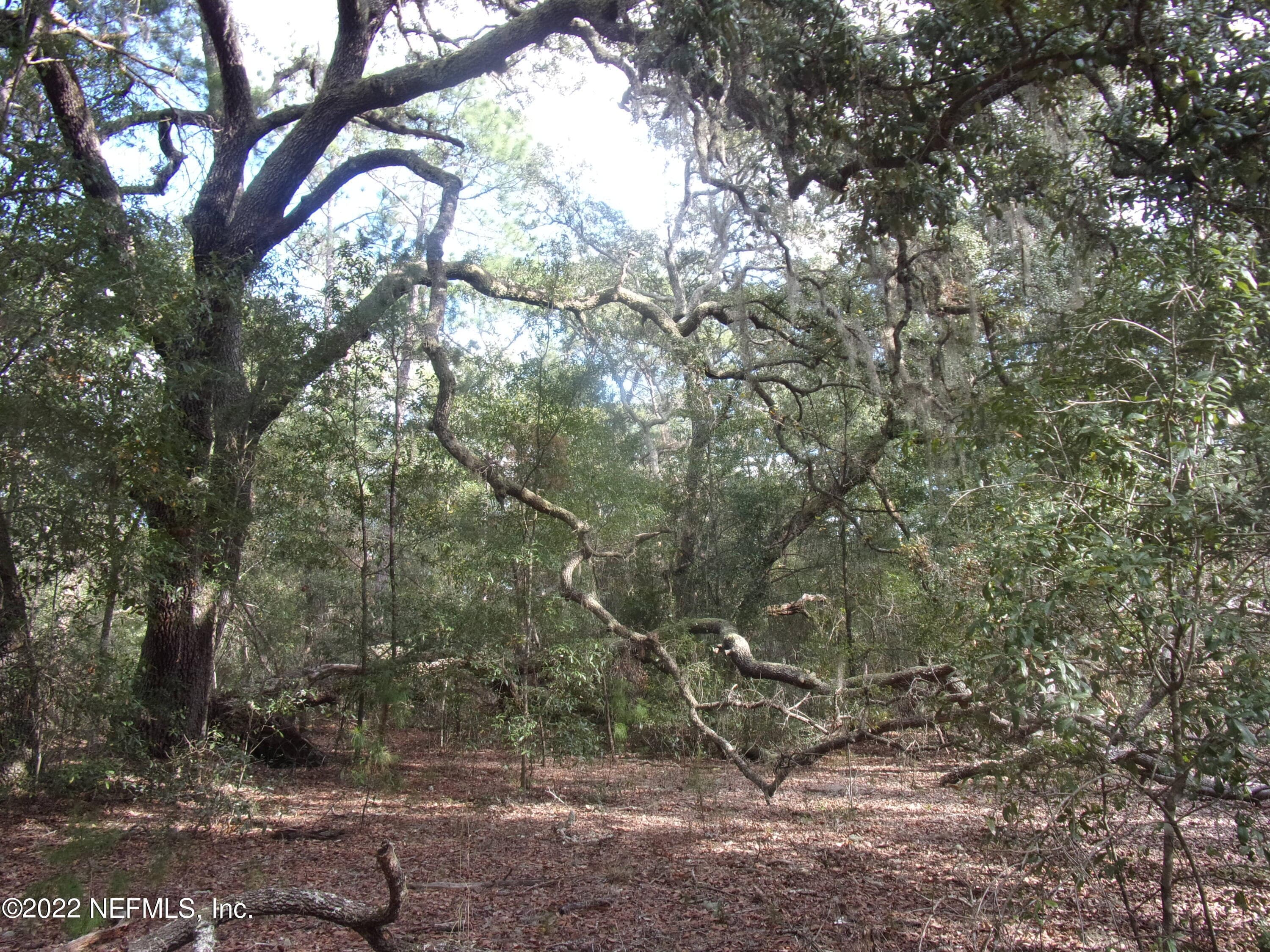 0 S COUNTY ROAD 315, Interlachen, FL 32148, Interlachen — exterior